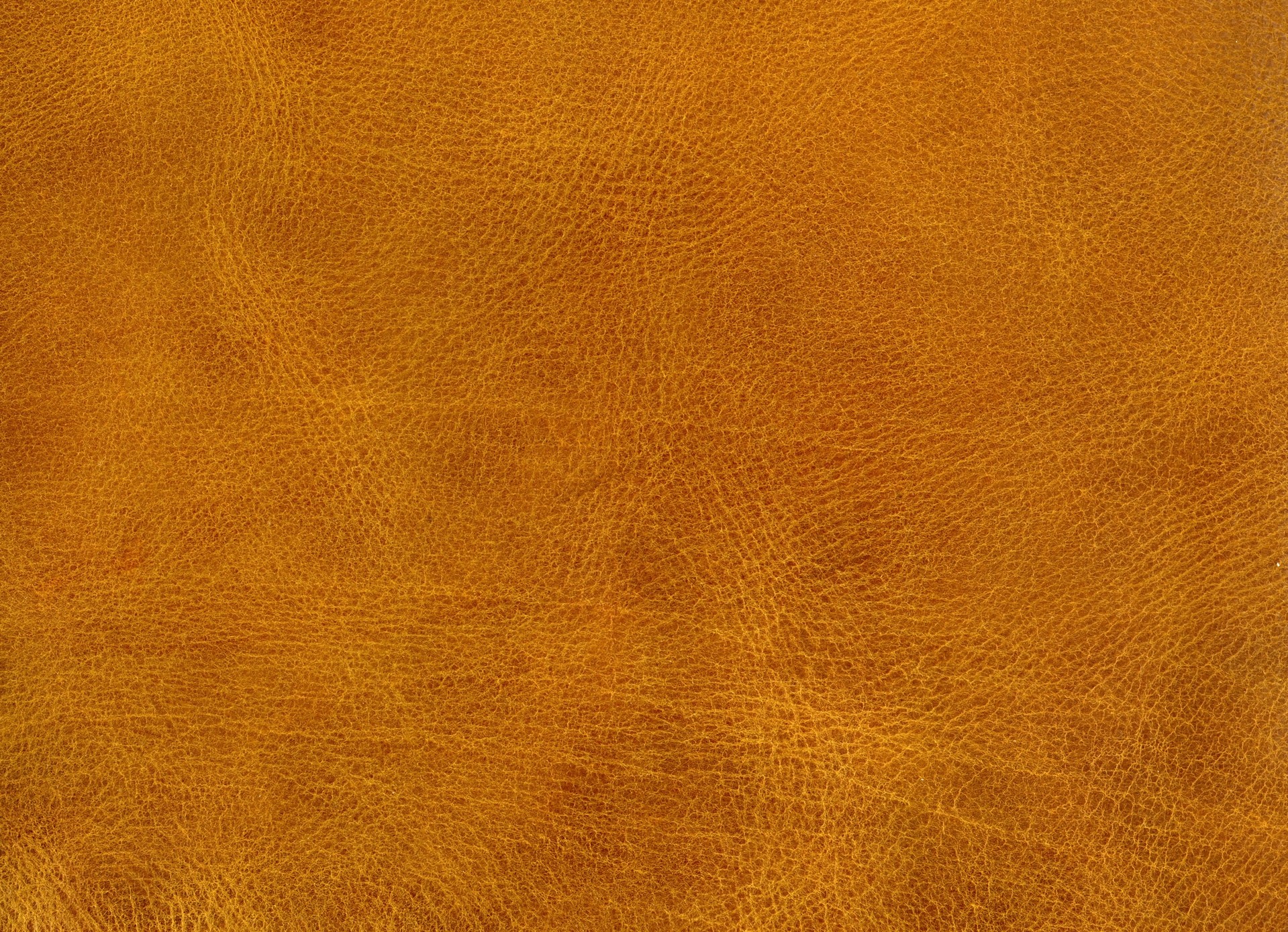 MAXƷ-Ƥ (102).jpg