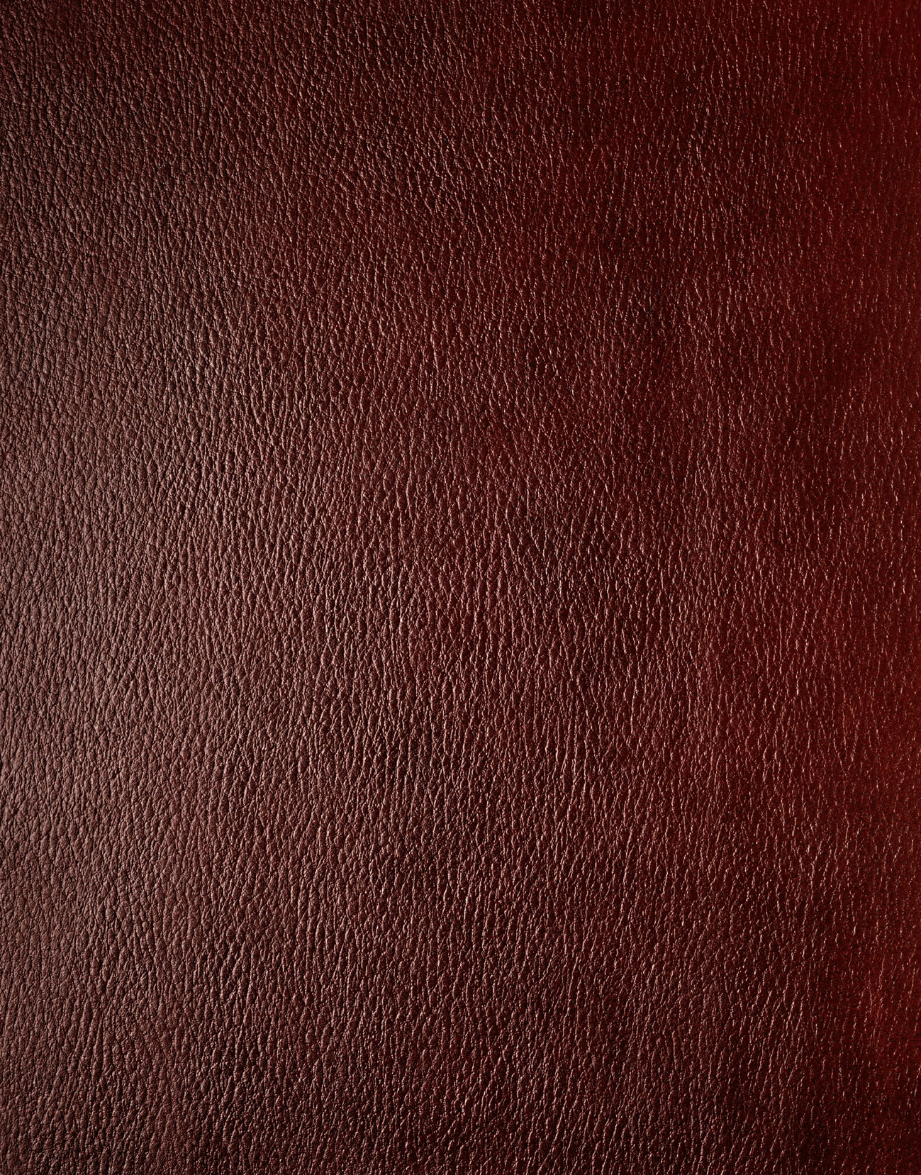 MAXƷ-Ƥ (105).jpg