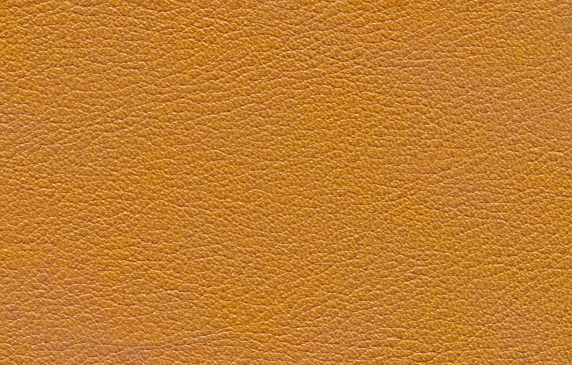 MAXƷ-Ƥ (109).jpg