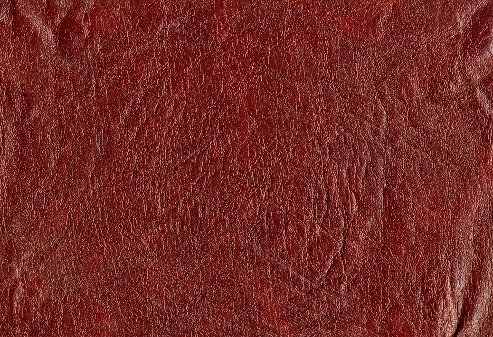 MAXƷ-Ƥ (110).jpg