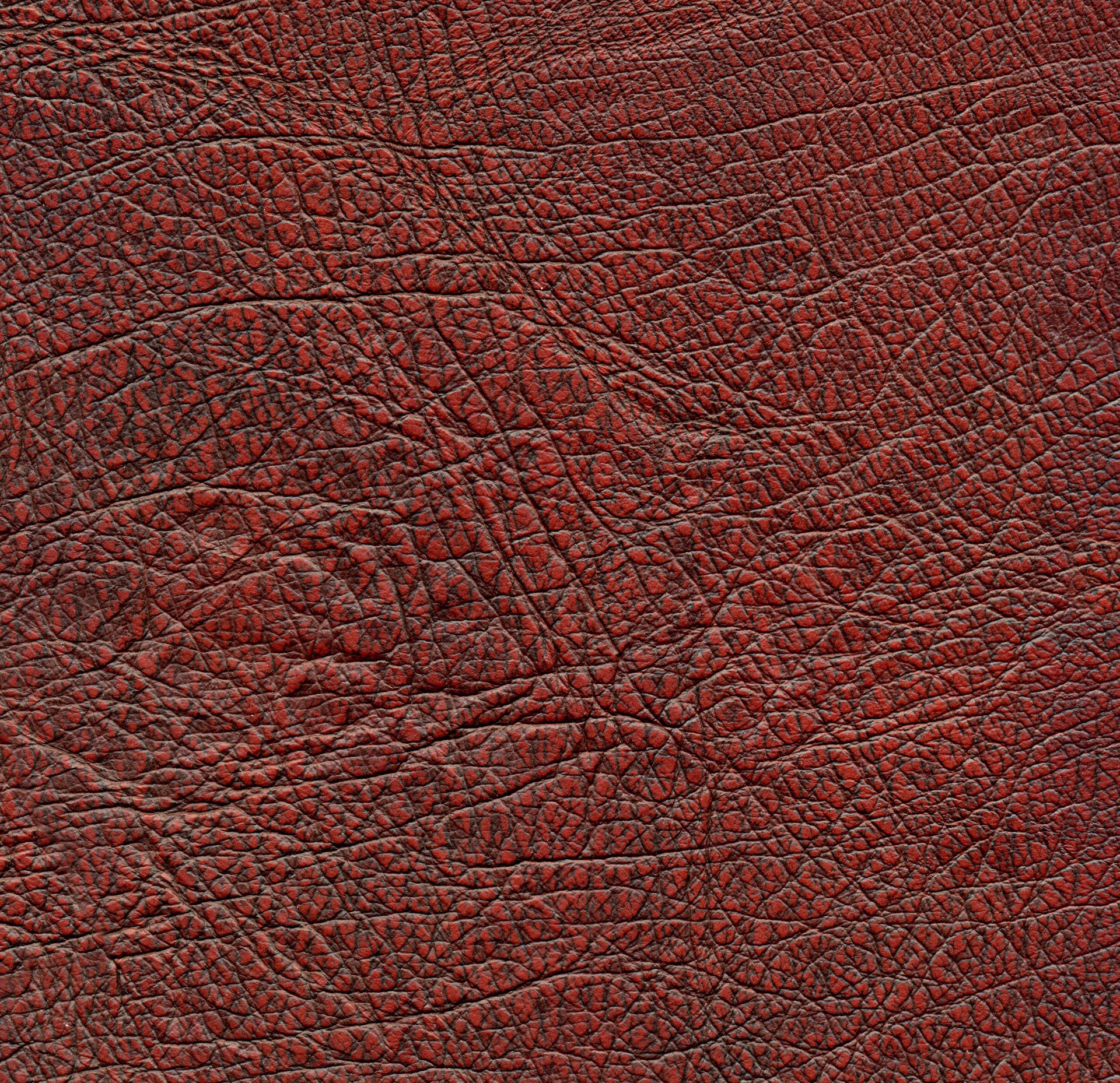 MAXƷ-Ƥ (116).jpg