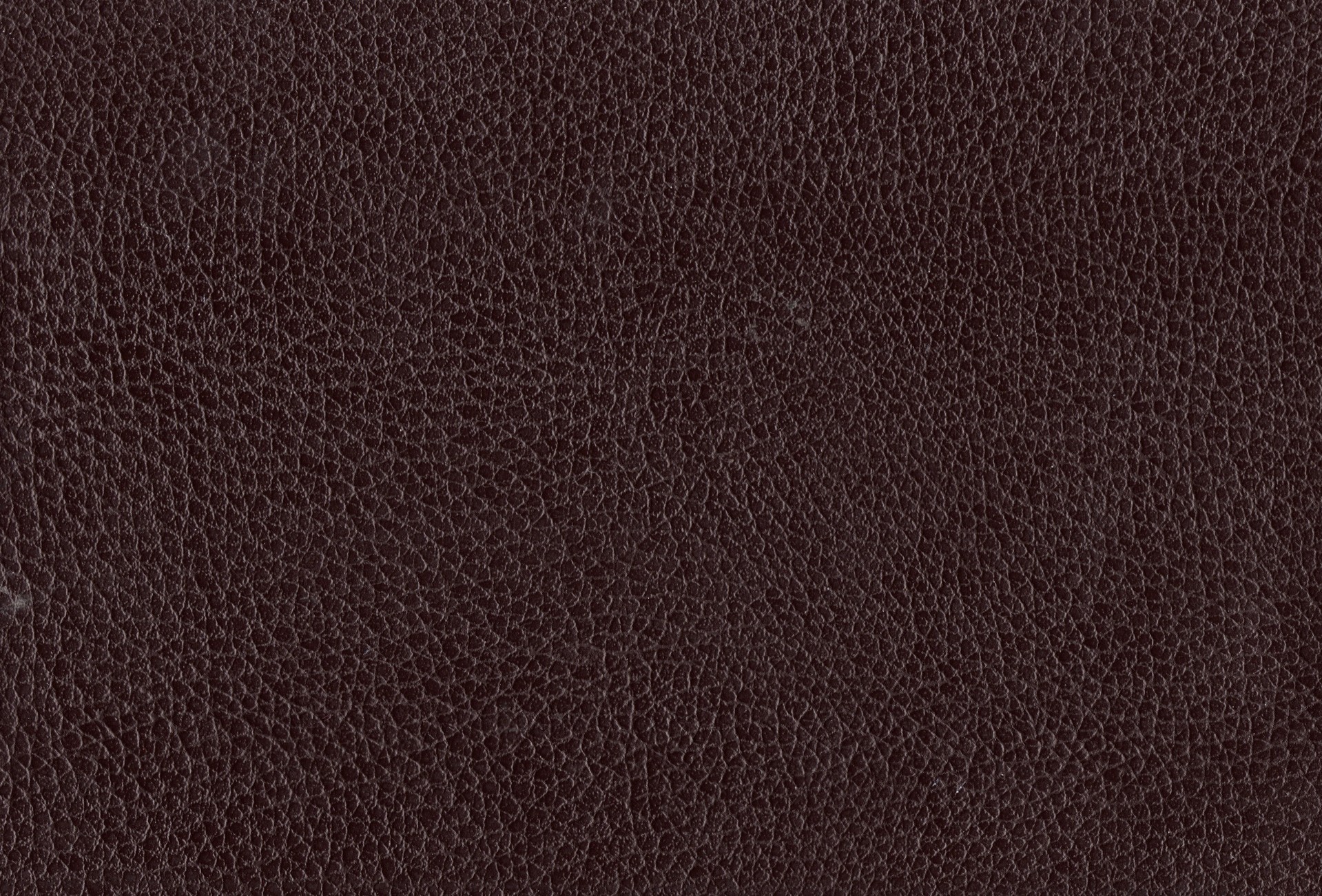 MAXƷ-Ƥ (133).jpg