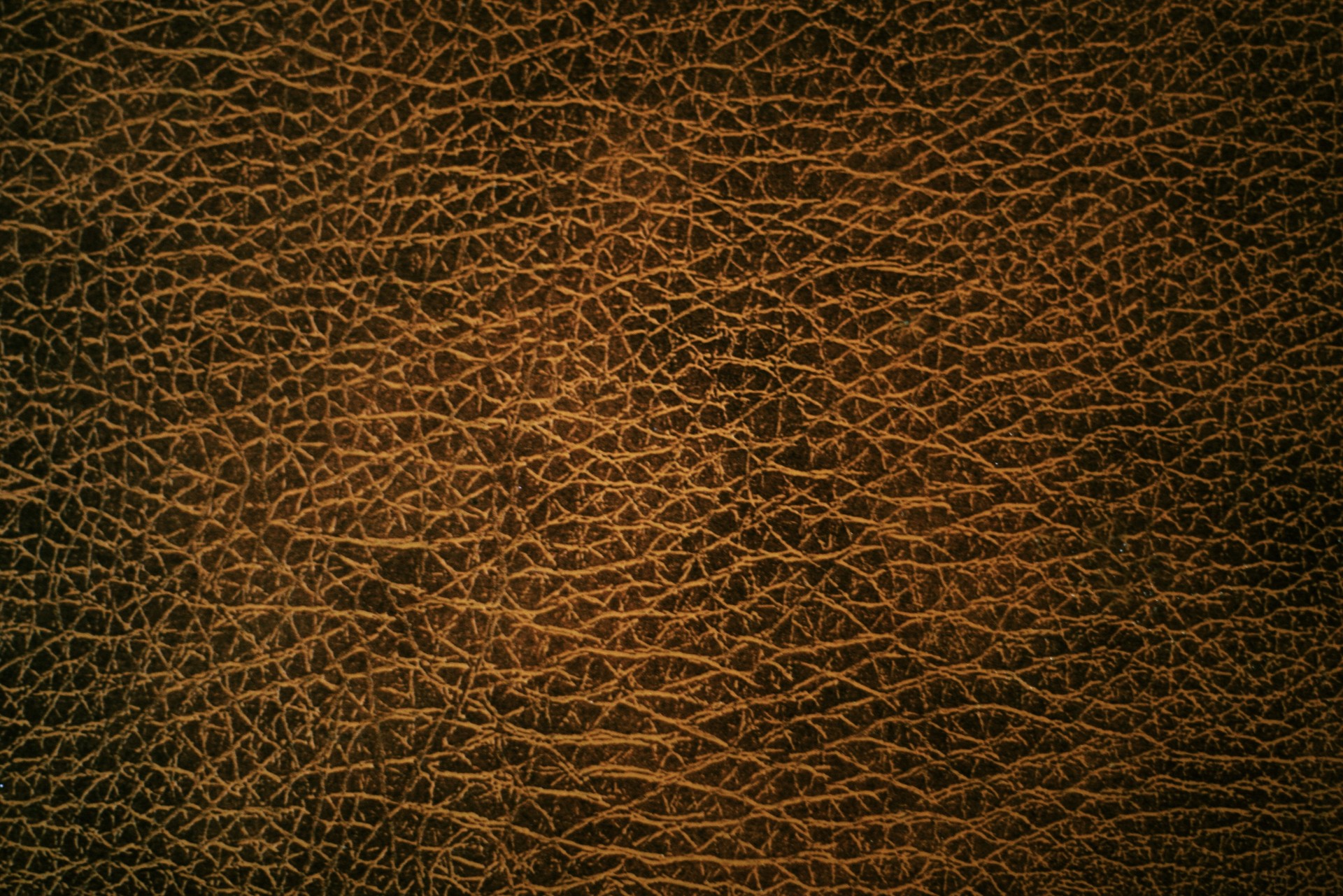 MAXƷ-Ƥ (135).jpg