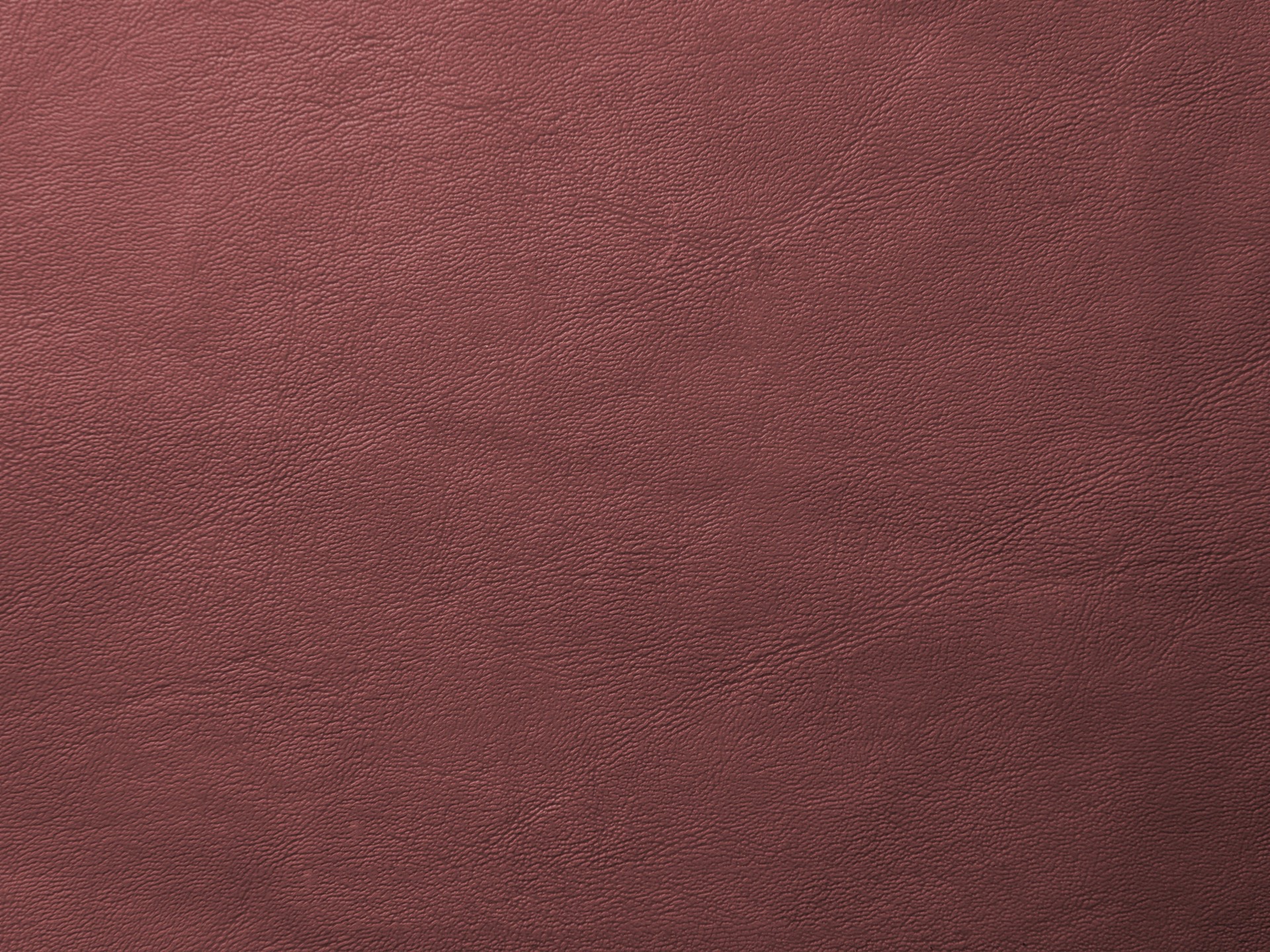 MAXƷ-Ƥ (145)_ͼ.jpg