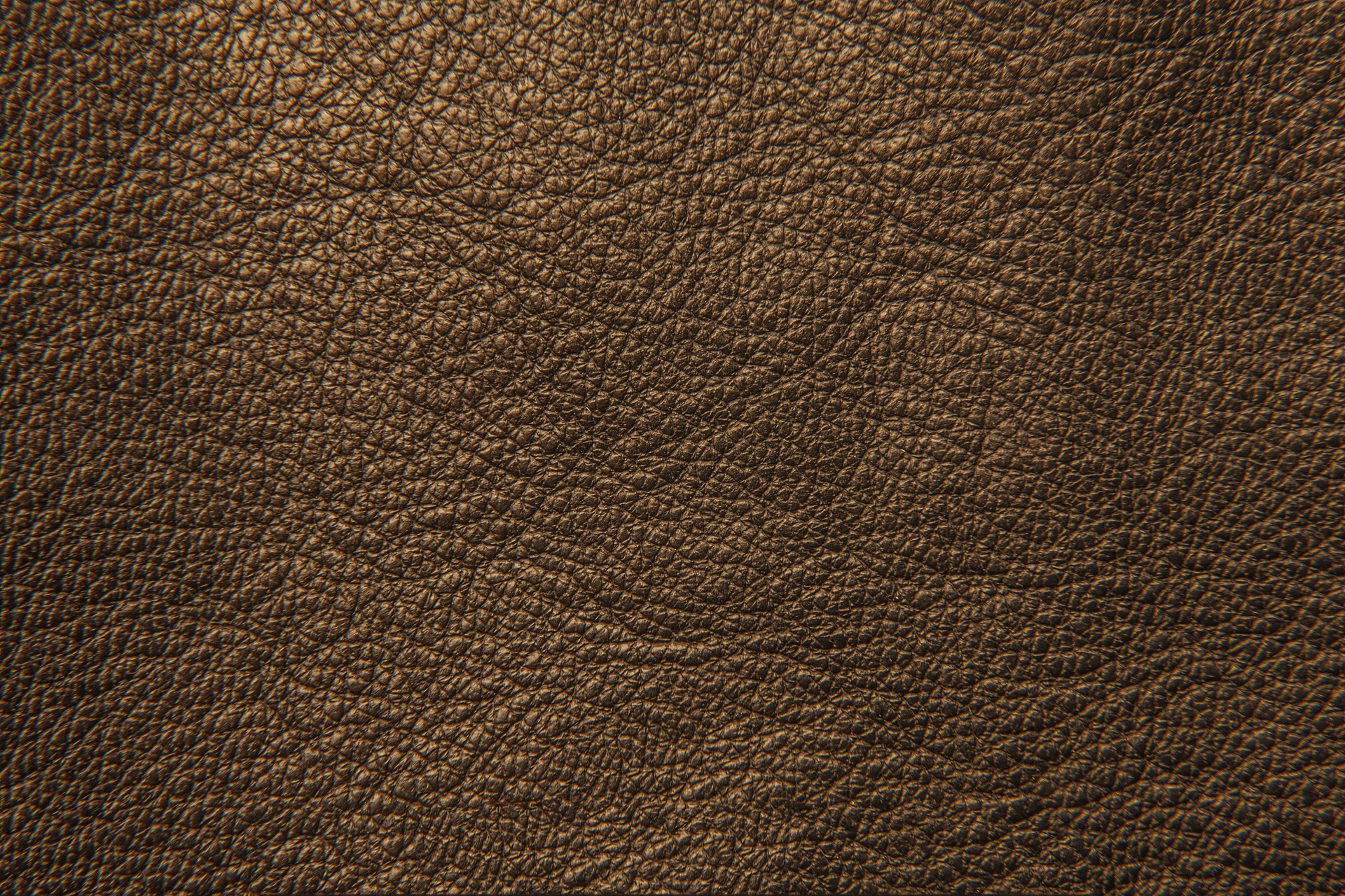 MAXƷ-Ƥ (147)_ͼ.jpg