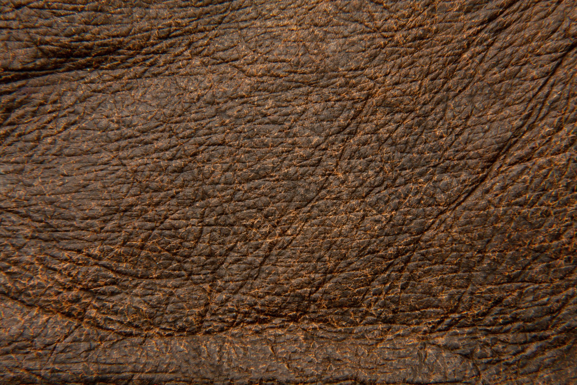 MAXƷ-Ƥ (148)_ͼ.jpg