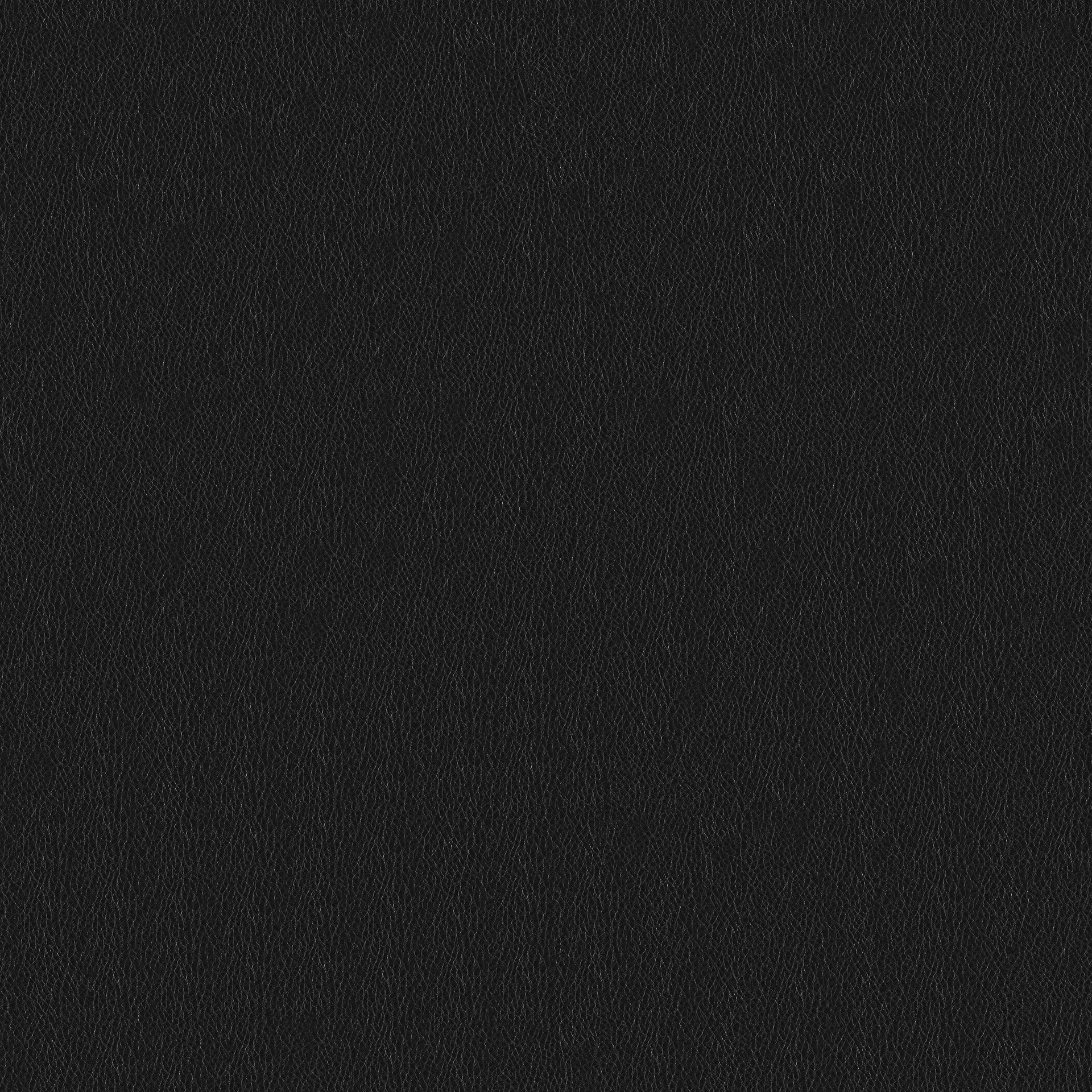 MAXƷ-Ƥ (257).jpg