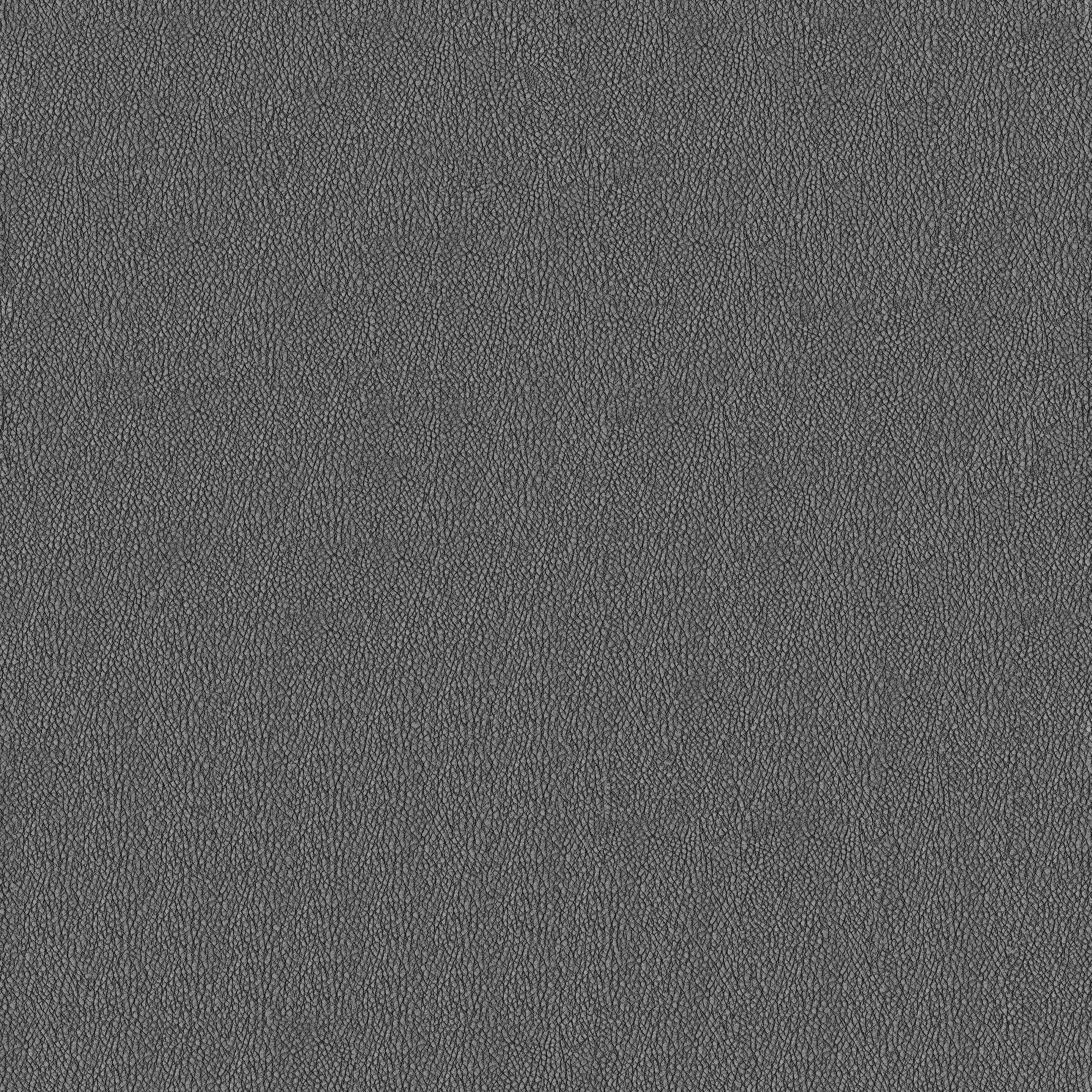 MAXƷ-Ƥ (258).jpg