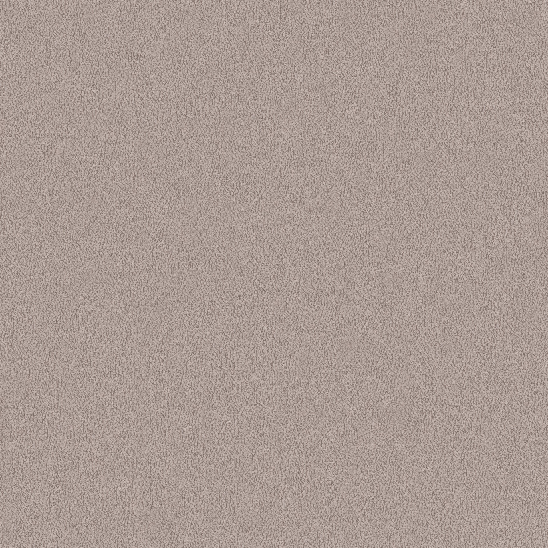 MAXƷ-Ƥ (260).jpg