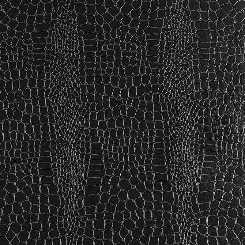 MAXƷ-Ƥ (290).jpg