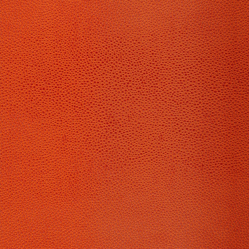 MAXƷ-Ƥ (293).jpg