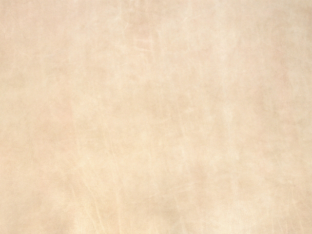 MAXƷ-Ƥ (307).jpg