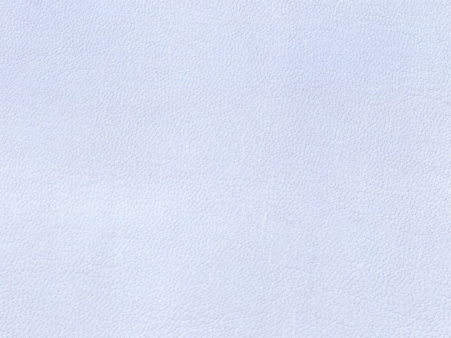MAXƷ-Ƥ (325).jpg
