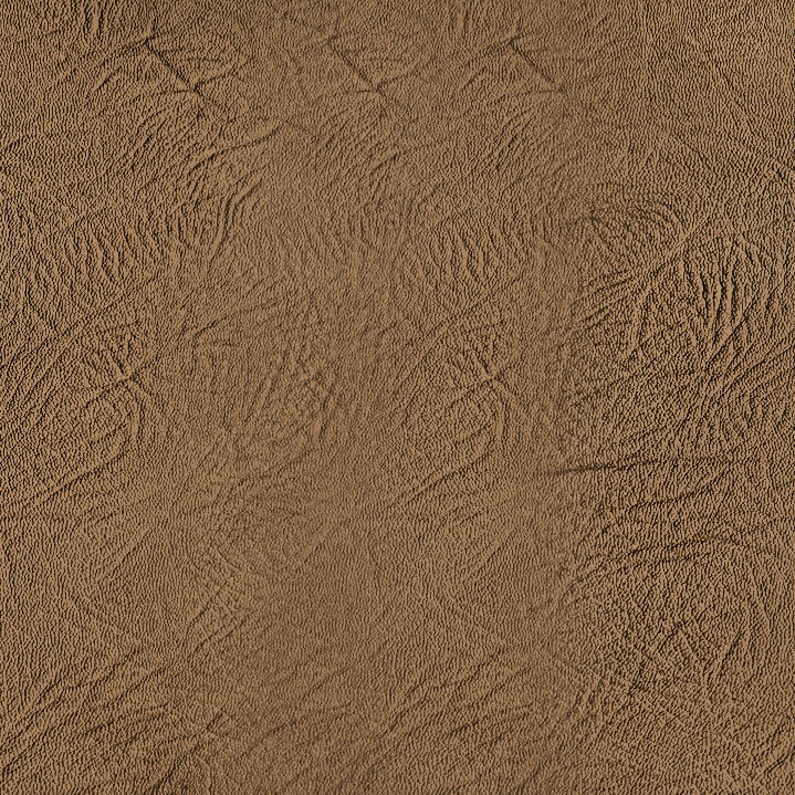 MAXƷ-Ƥ (370).jpg