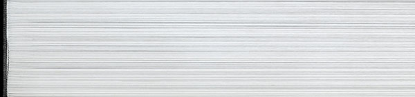 鱾 (161).JPG