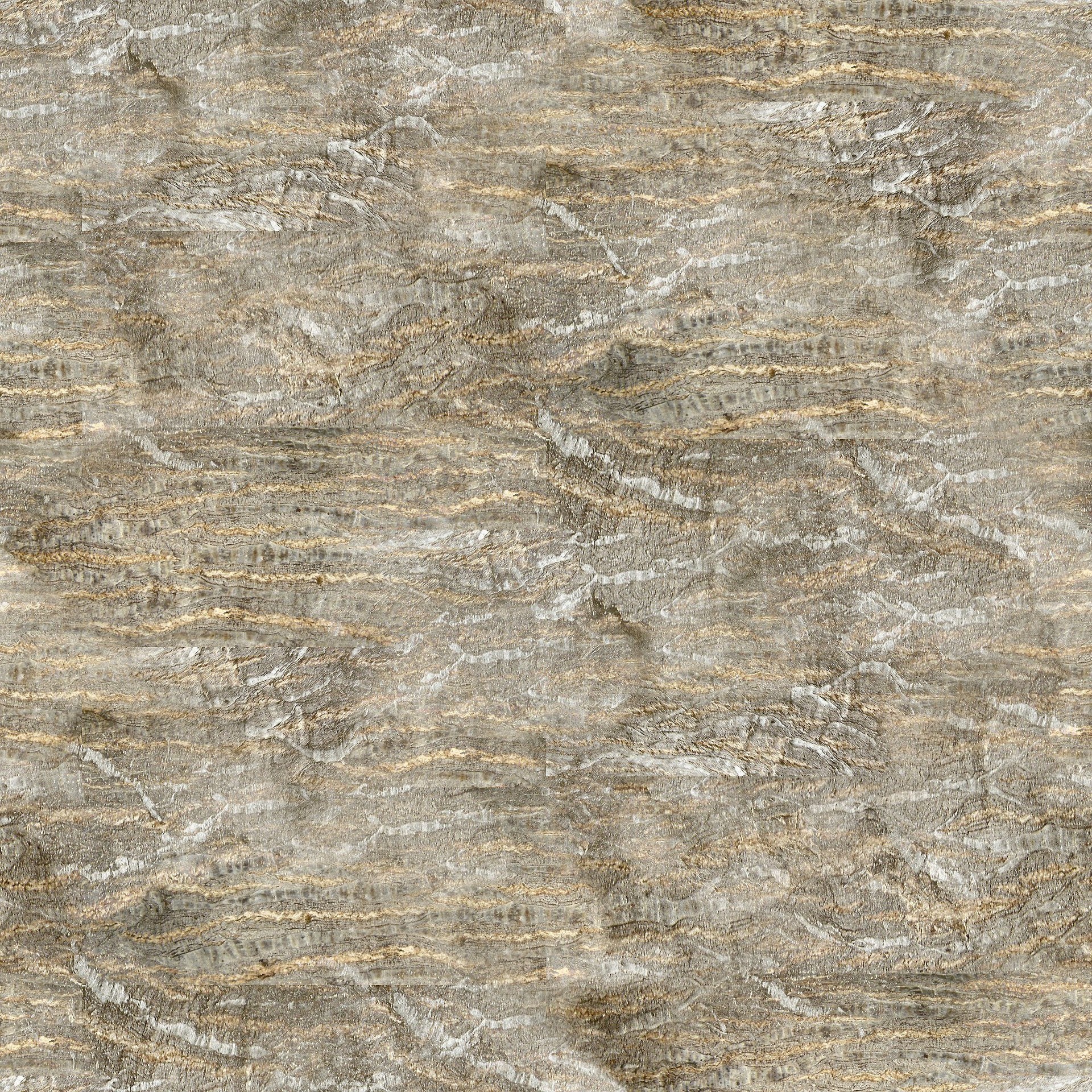 AS2_bark_04.jpg
