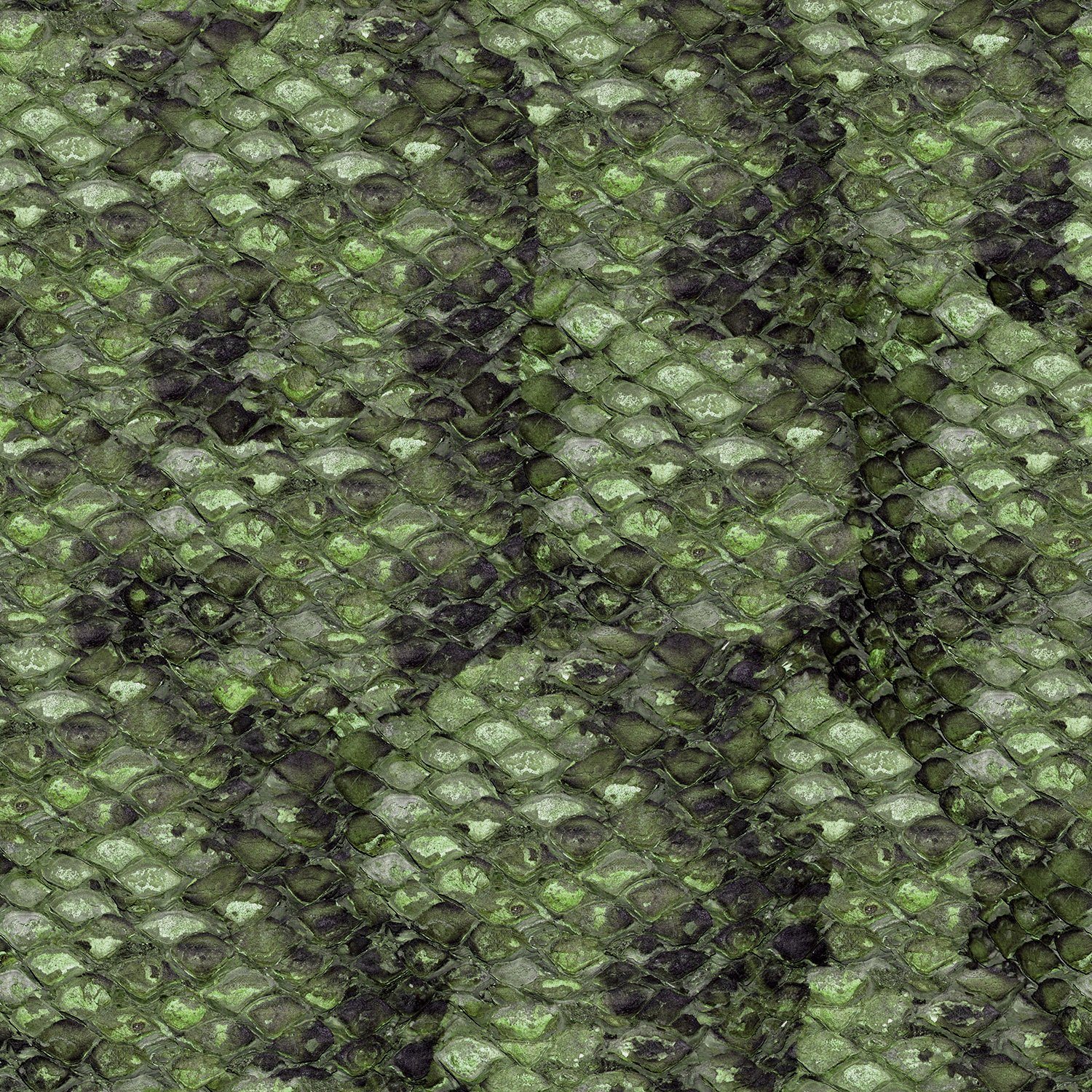 AS2_bark_09.jpg