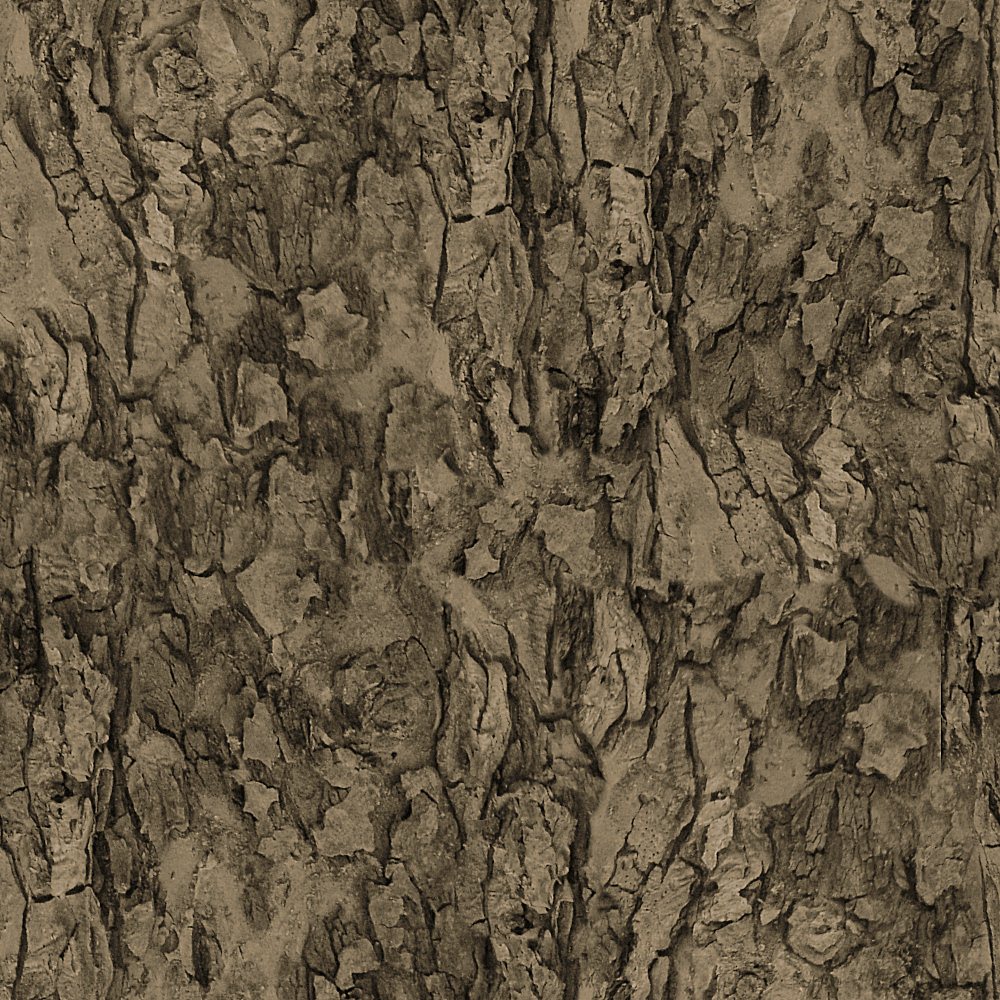 AS2_bark_14.jpg