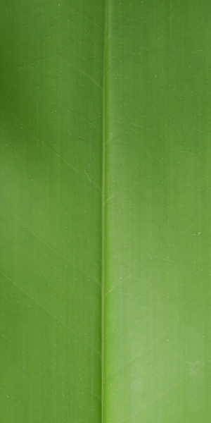 Ҷ (10).jpg