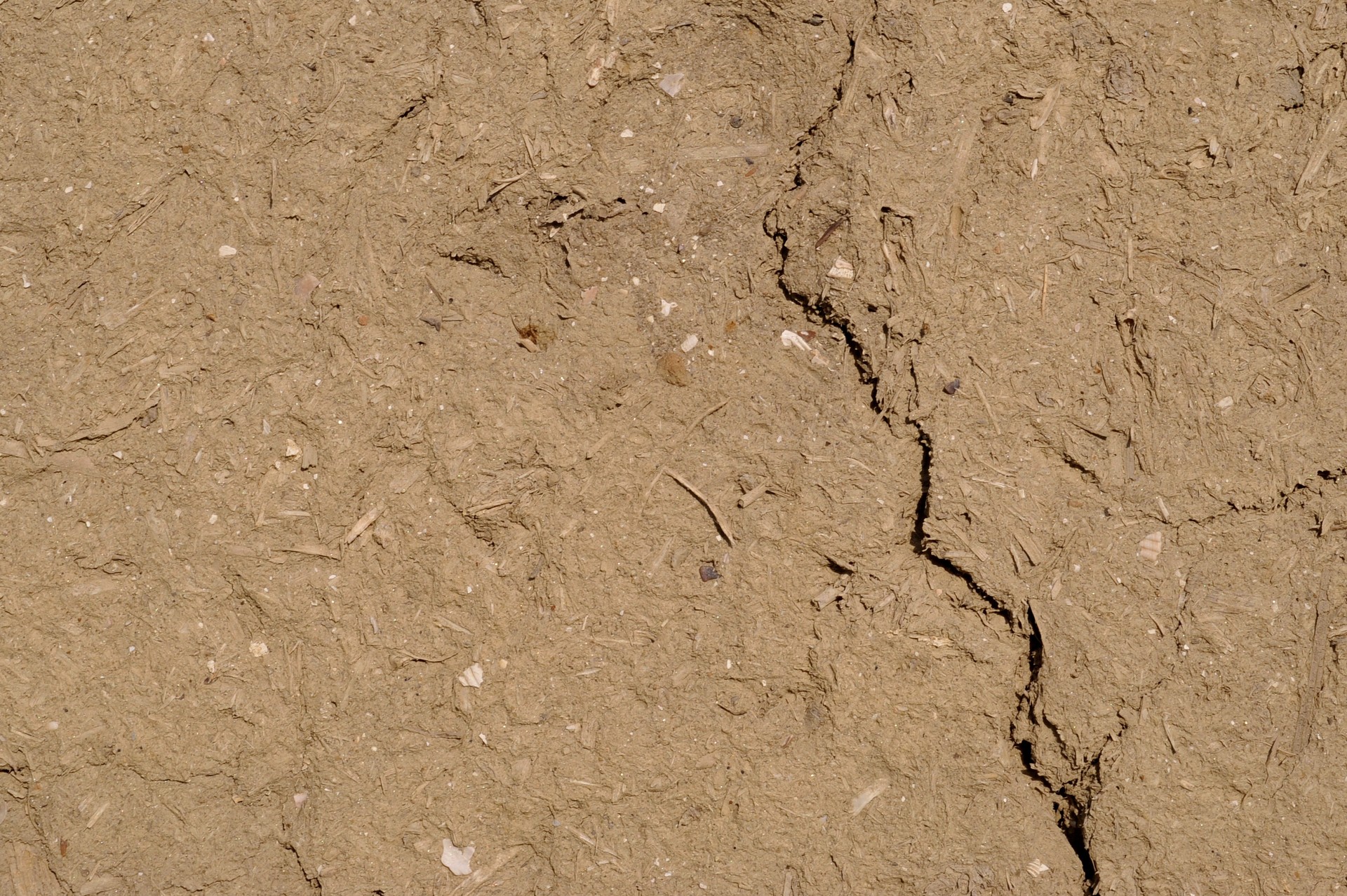 designtnt-textures-cracked-ground-3-1_ͼ.jpg
