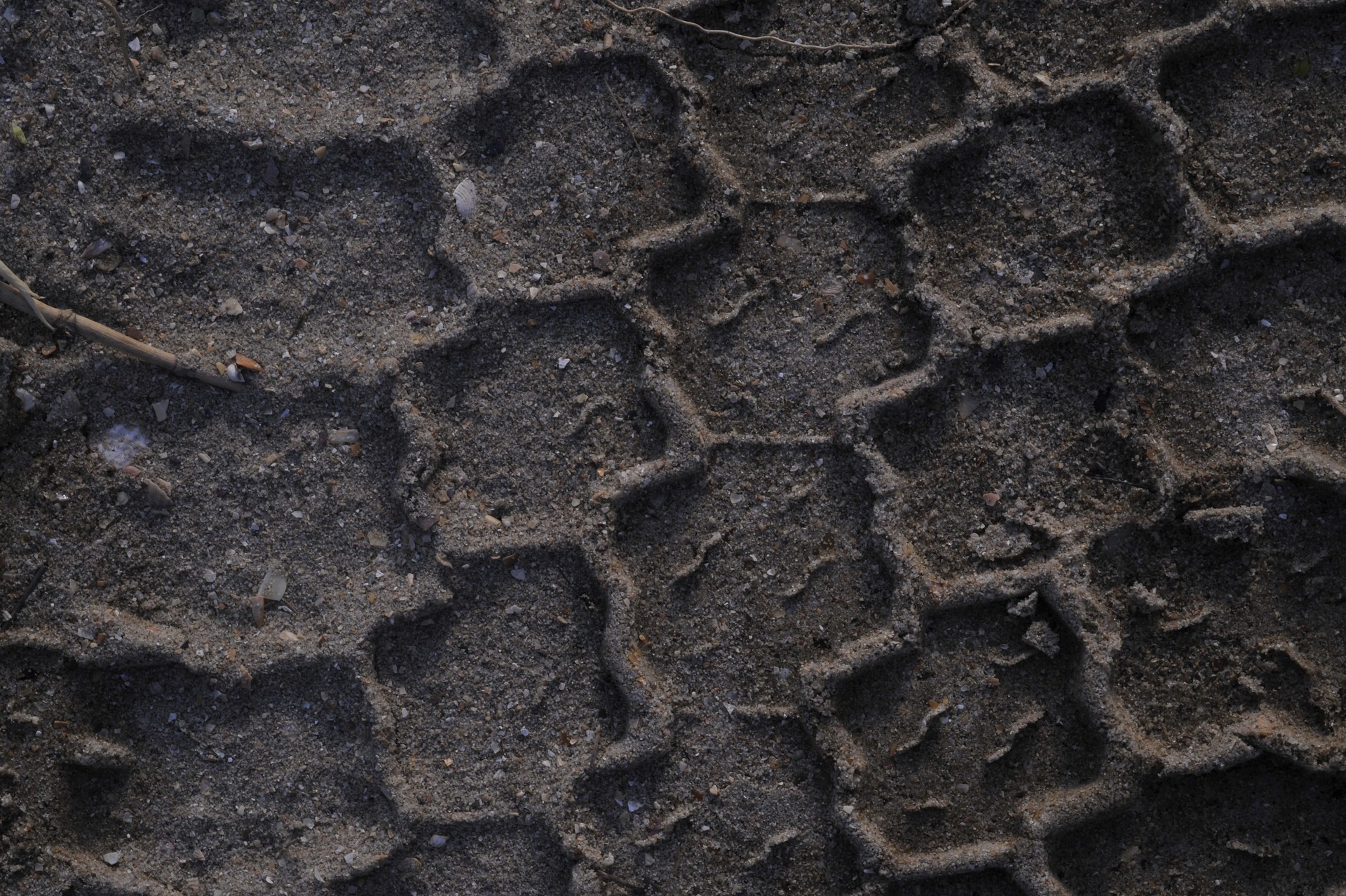 designtnt-textures-cracked-ground-3-3_ͼ.jpg