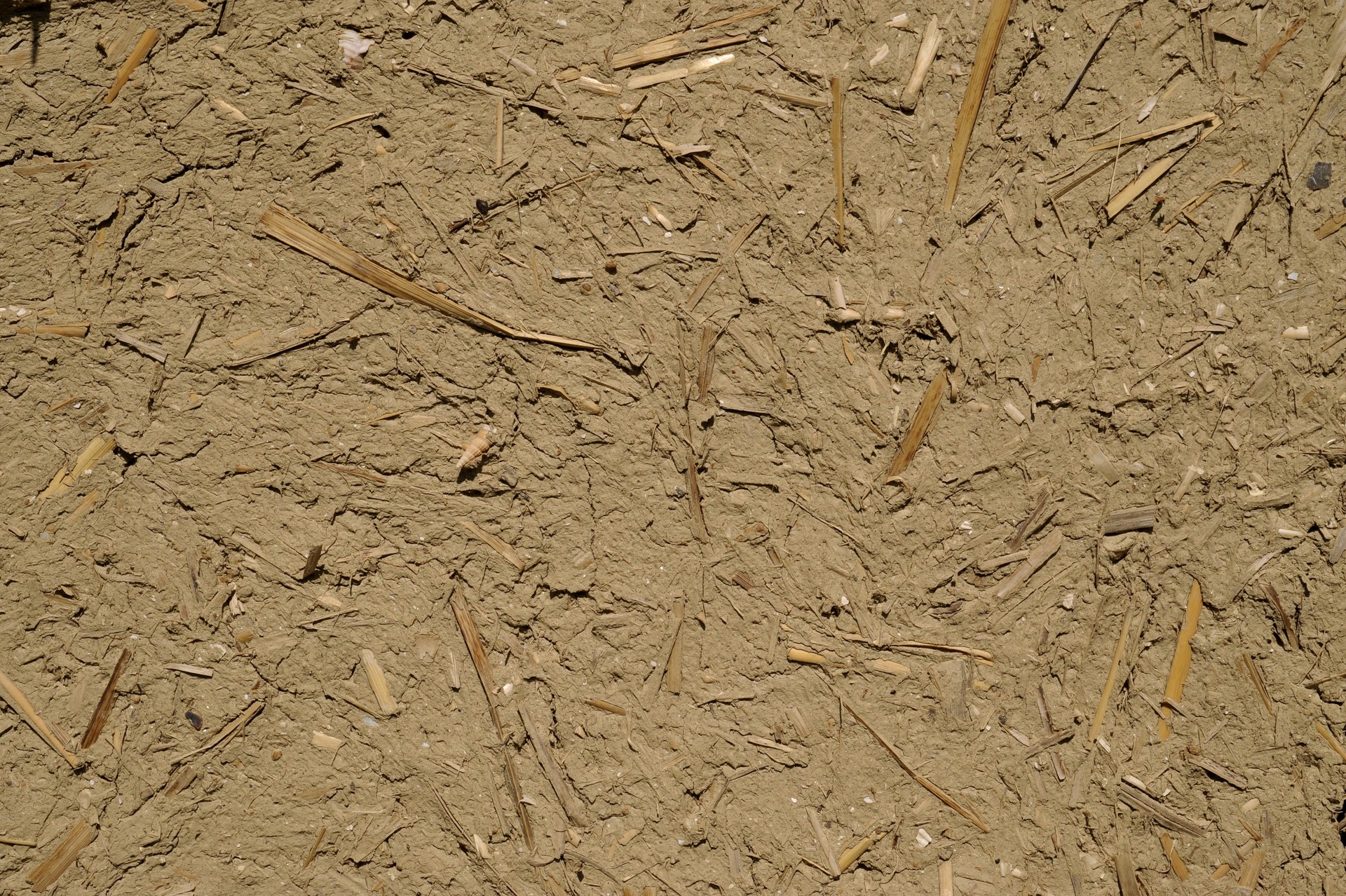 designtnt-textures-cracked-ground-3-4_ͼ.jpg