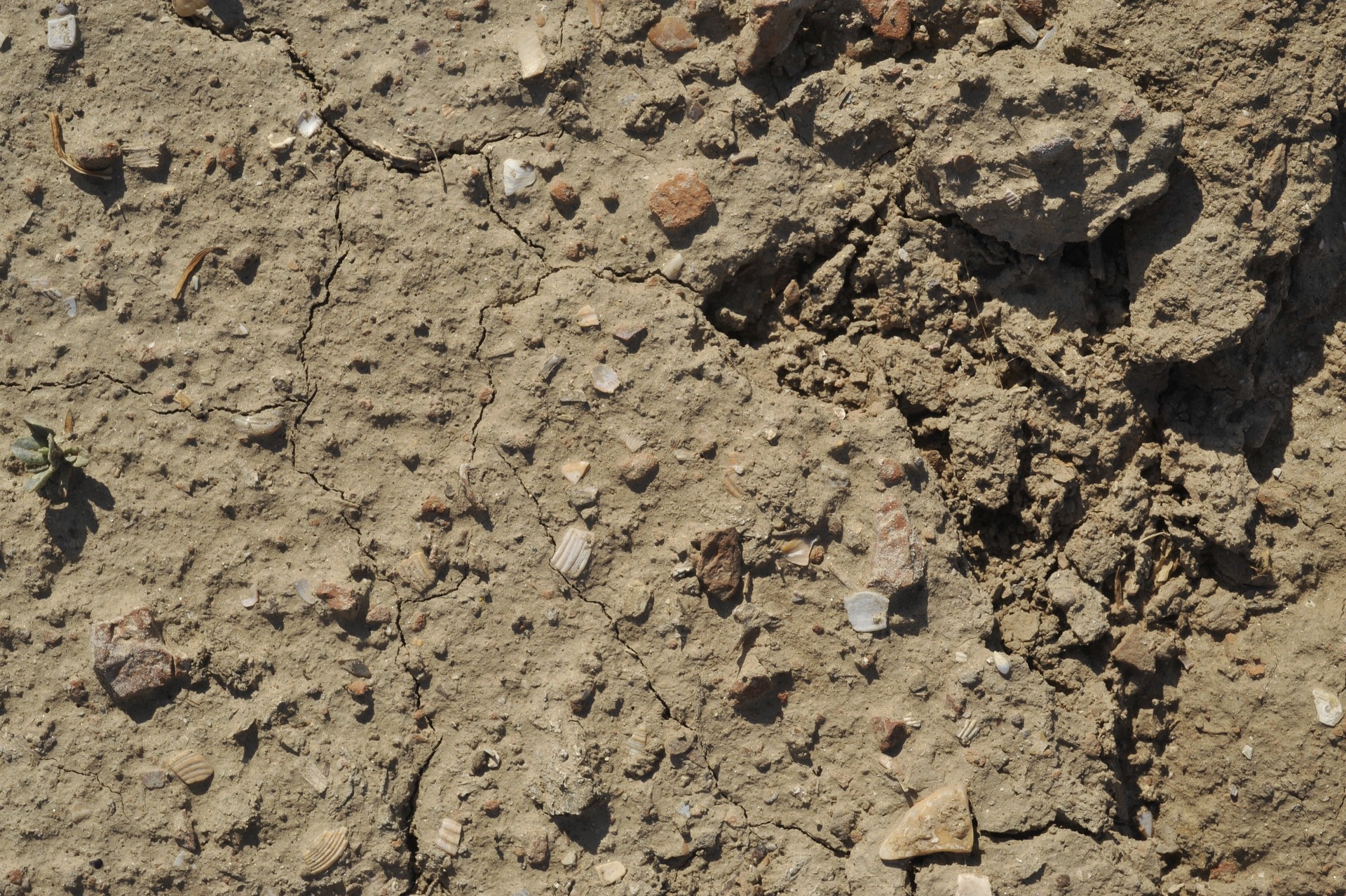 designtnt-textures-cracked-ground-3-6_ͼ.jpg