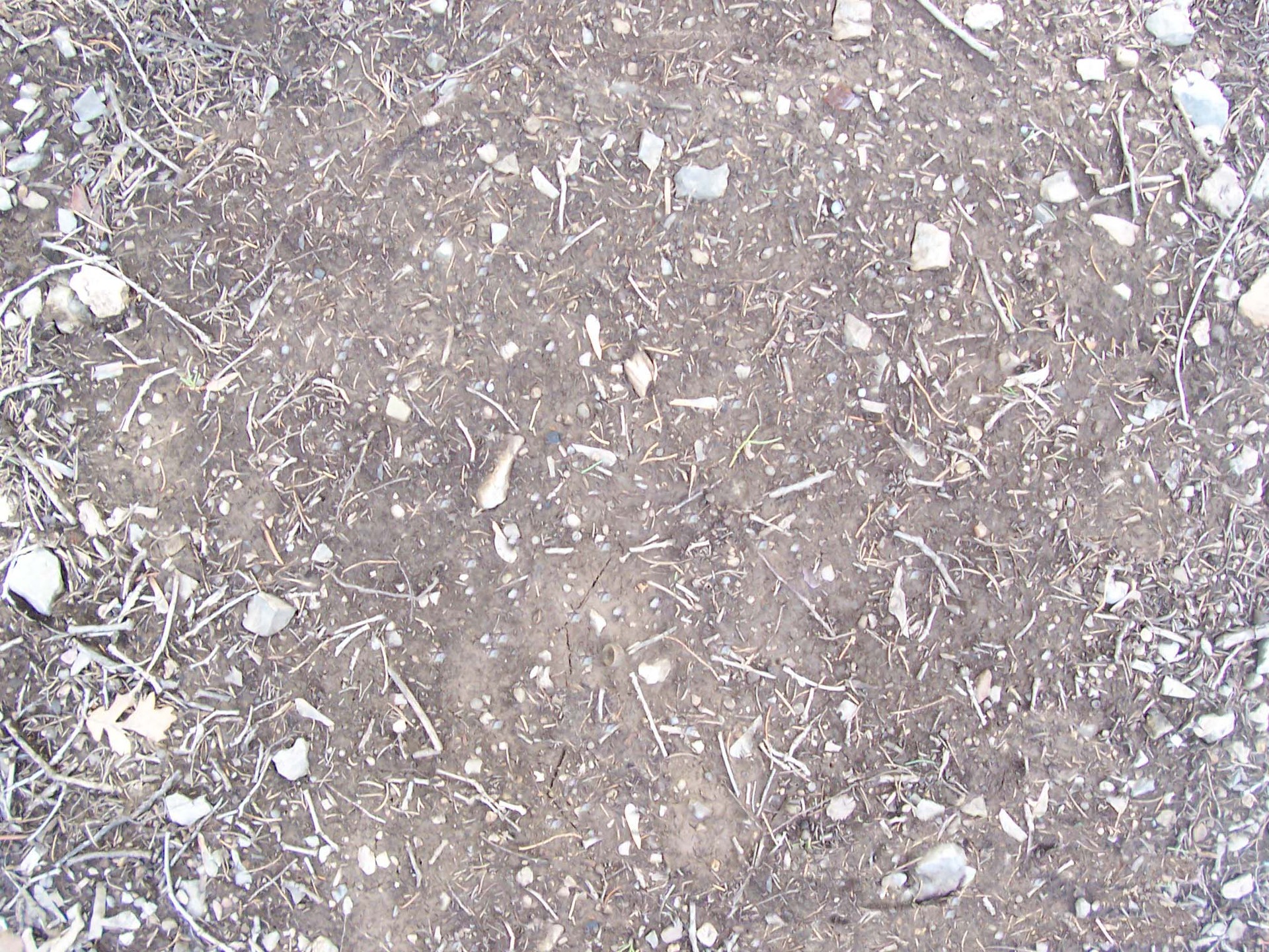 Gravel_46.jpg
