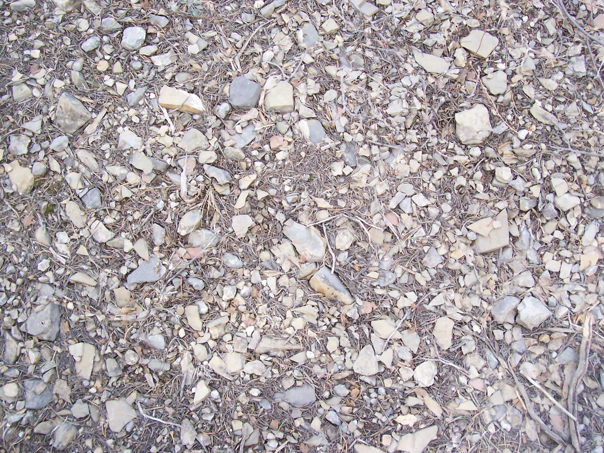Gravel_50.jpg