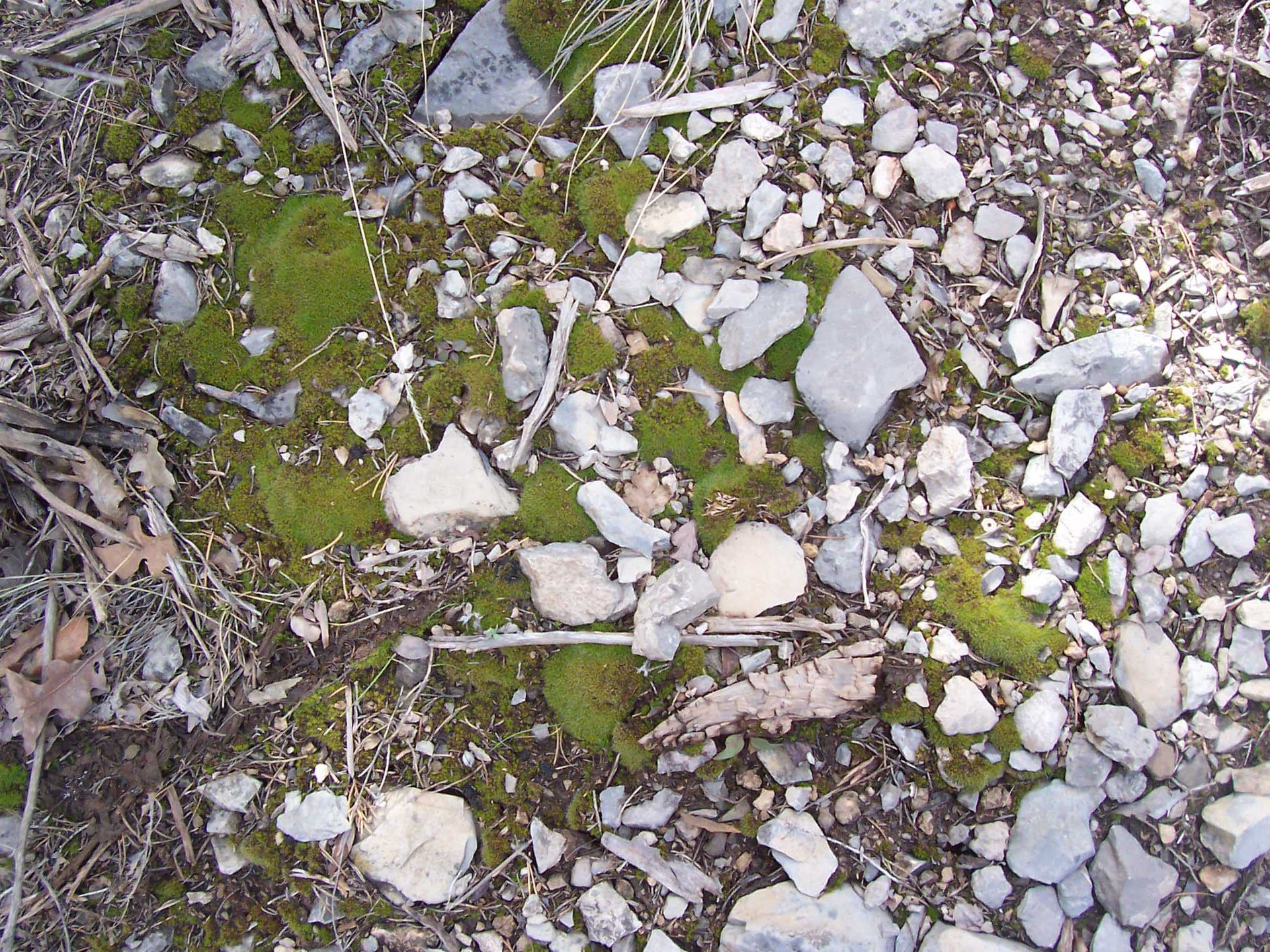 Gravel_51.jpg