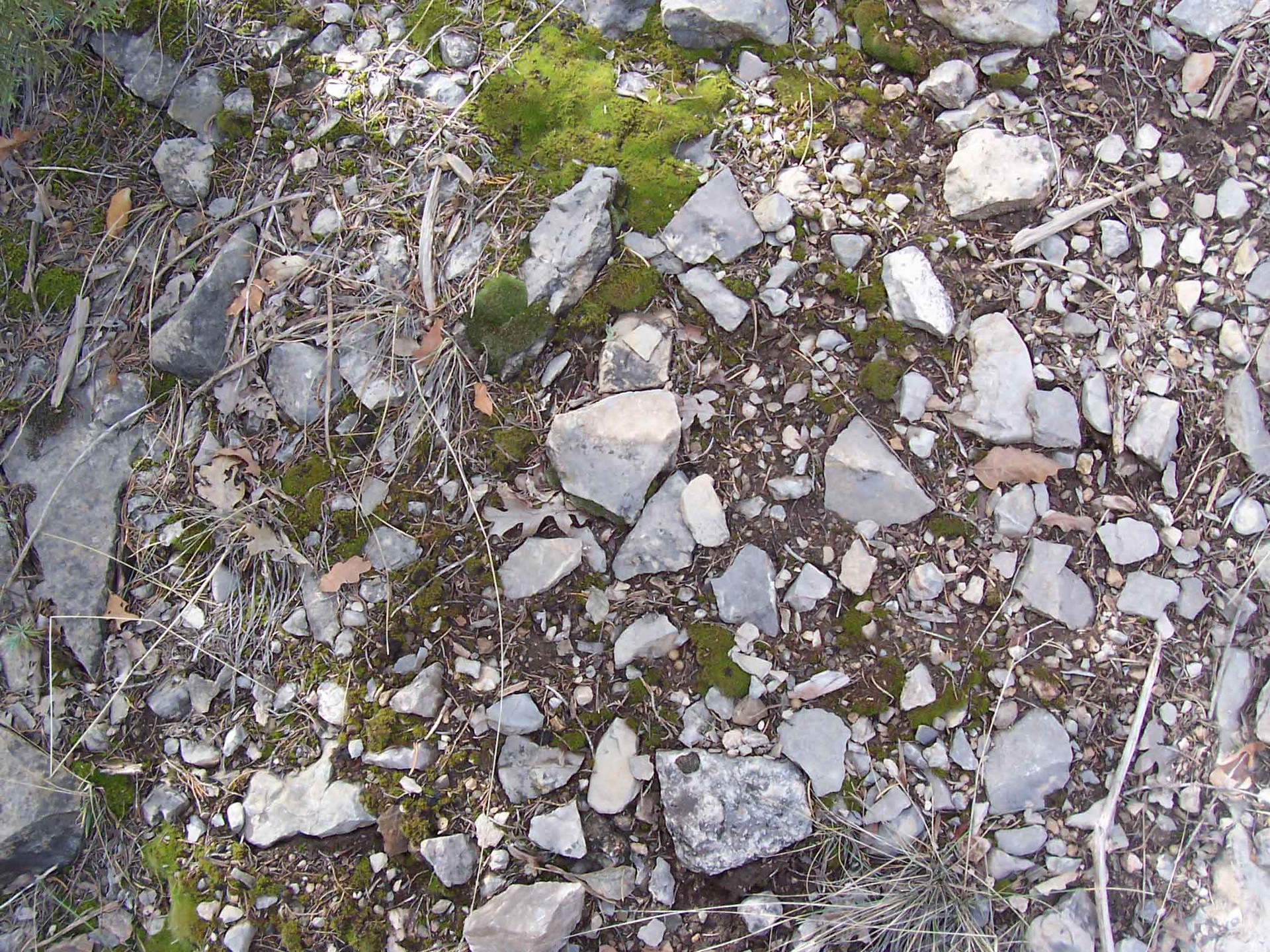 Gravel_52.jpg