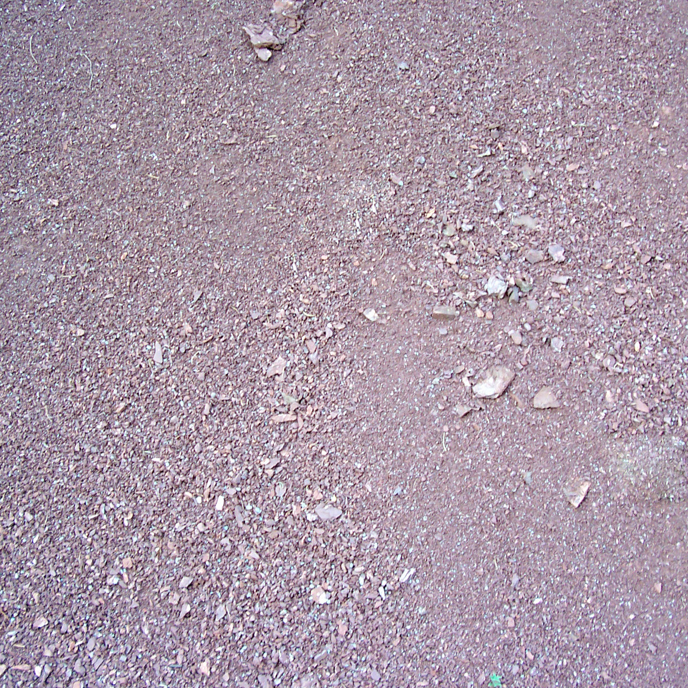 Sand_2.jpg