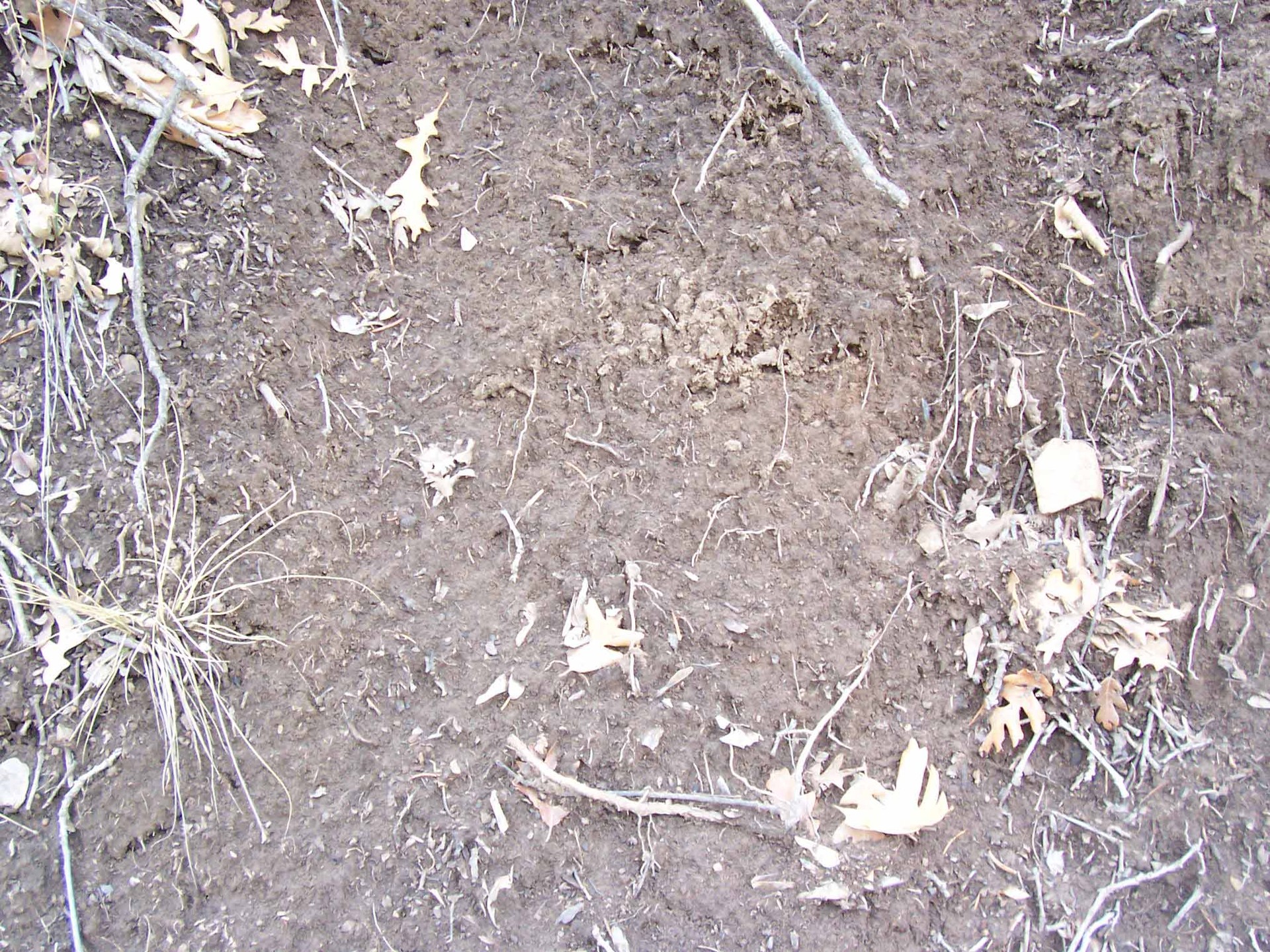 Sand_35.jpg