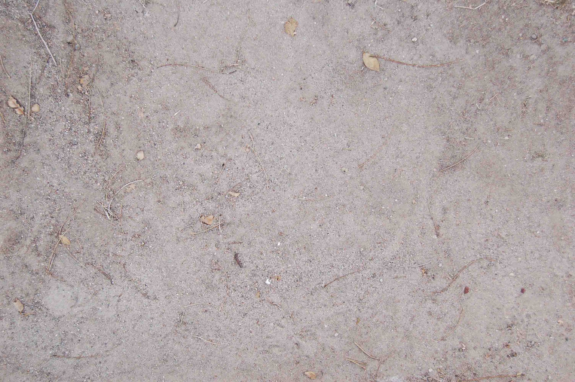 Sand_43.jpg