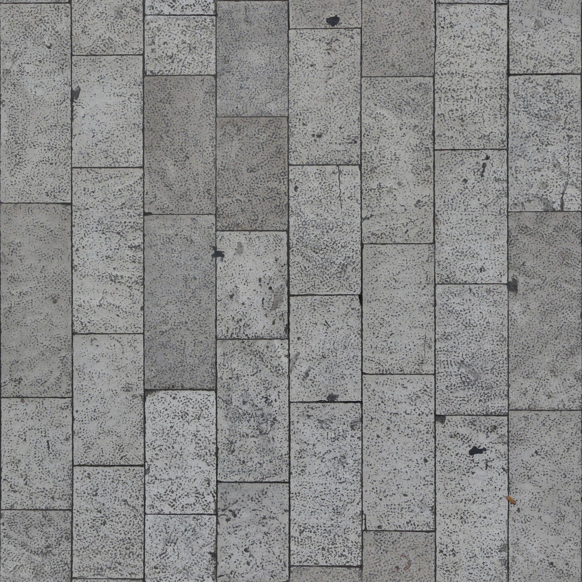 שǽ (124).jpg