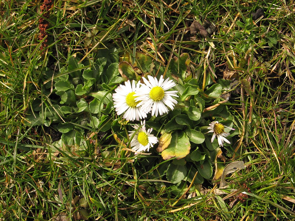 MAXƷ-ʻ (14).jpg
