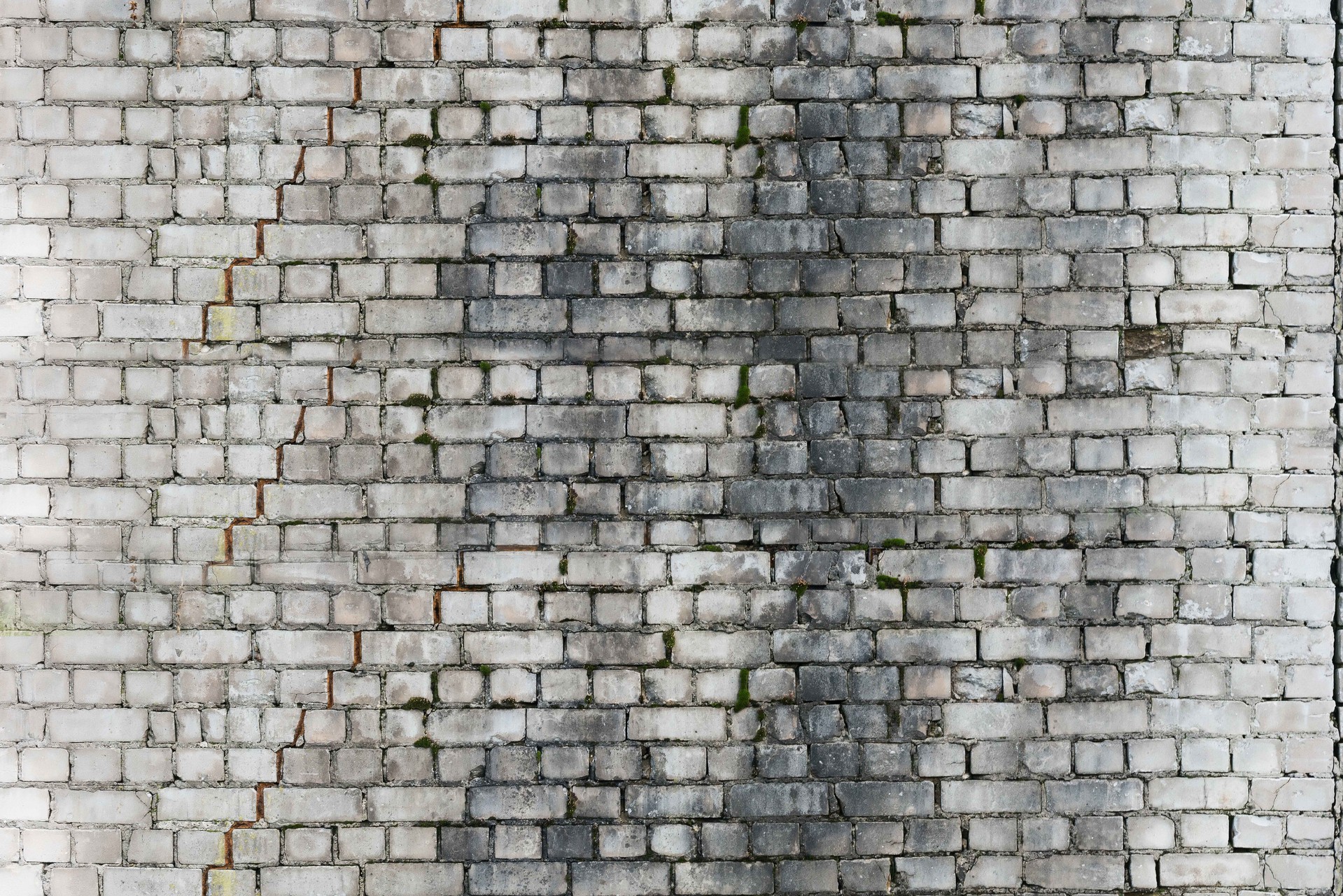  (101).jpg