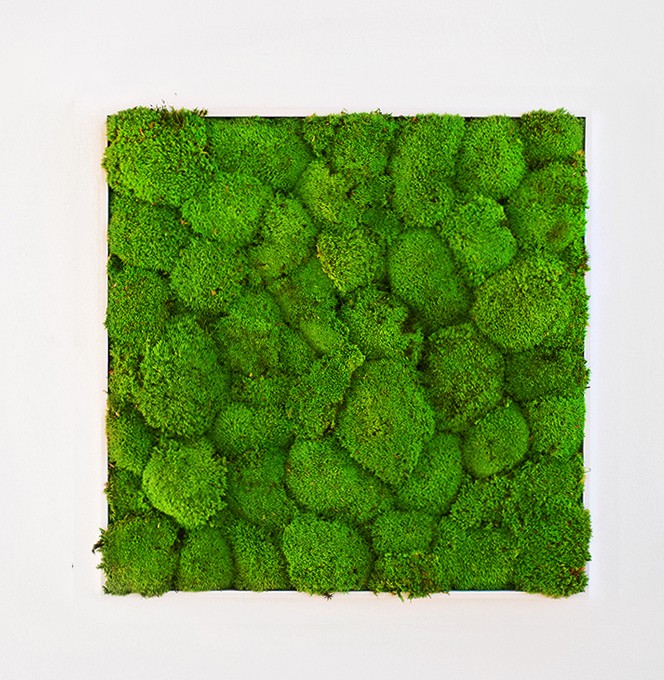 ֲǽ (19).jpg