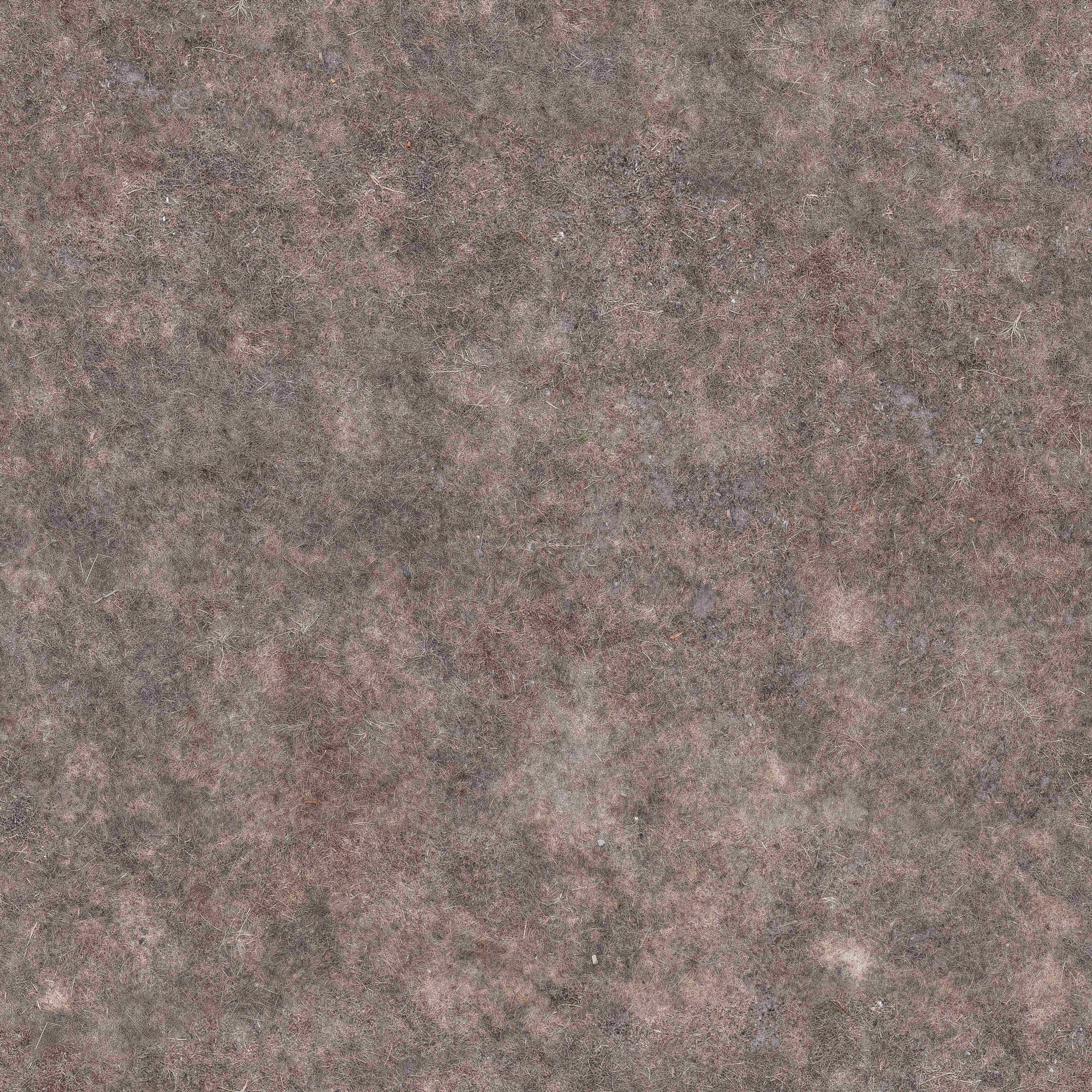 GroundDirt008_COL_VAR1_6K_ͼ.jpg