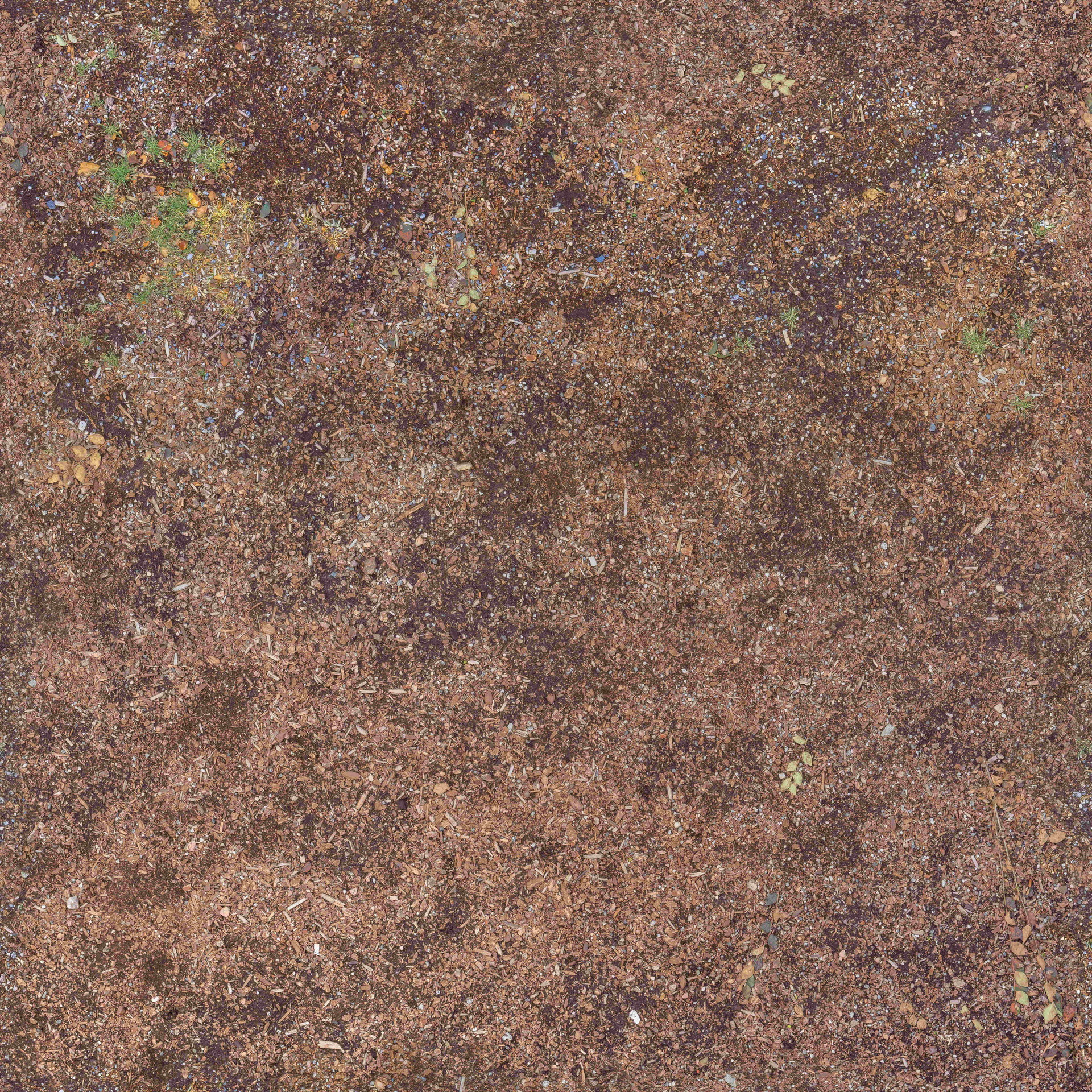 GroundForest002_COL_VAR1_HIRES_ͼ.jpg