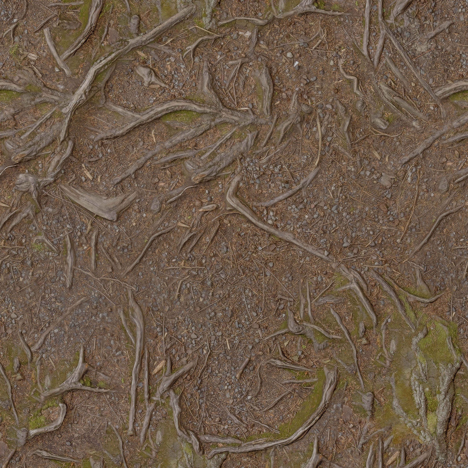 GroundForestRoots003_COL_6K.jpg