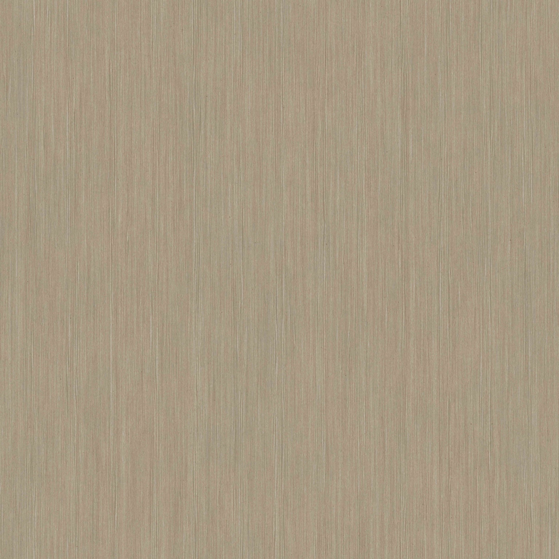 KANGWEI02ľ (145).jpg