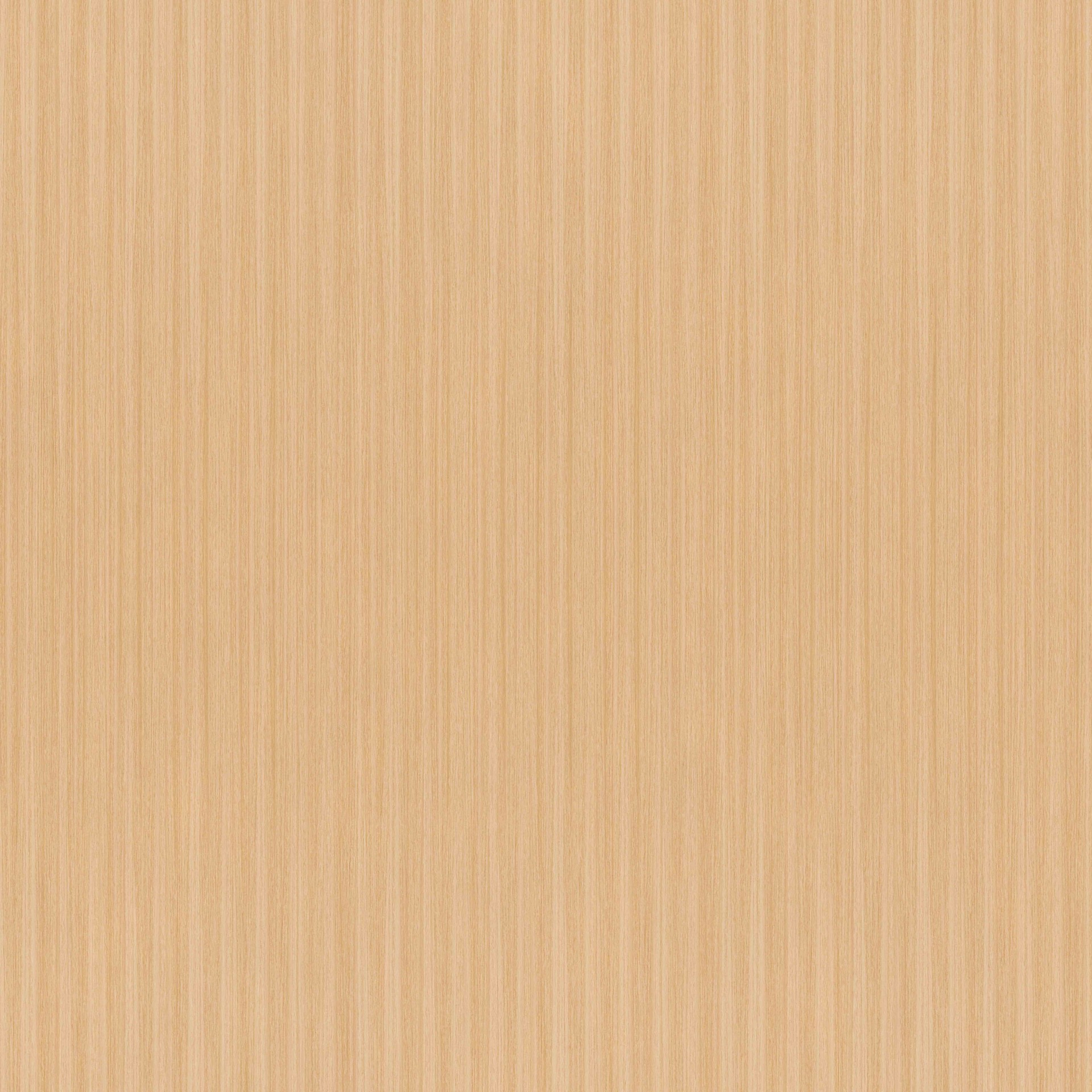 KANGWEI02ľ (166).jpg