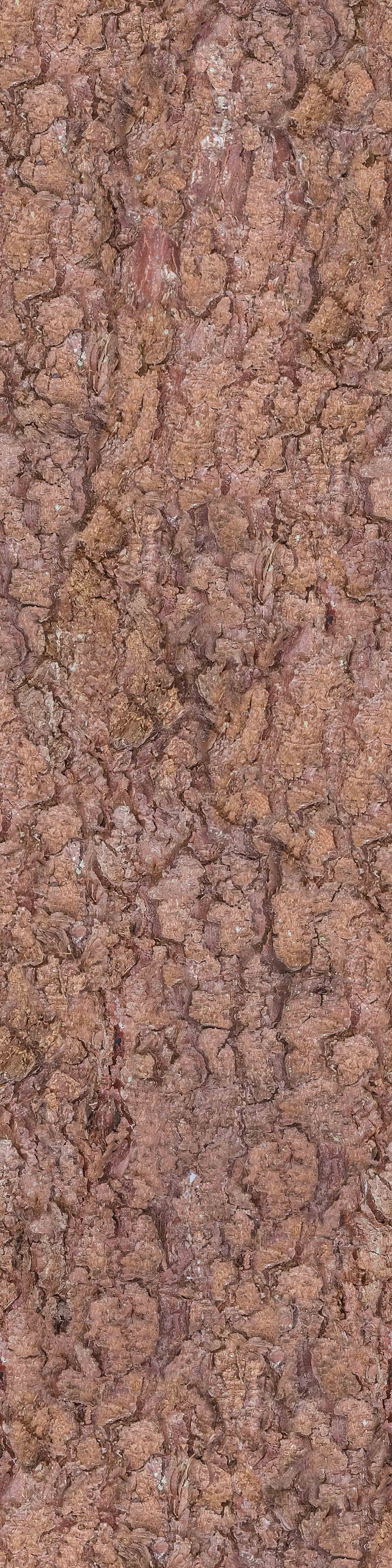 BarkDeciduous001_COL_VAR1_6K.jpg