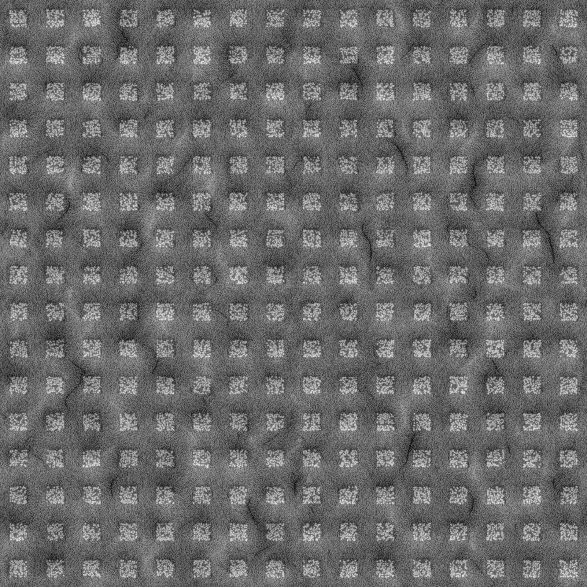ά̺͹01 (50).jpg