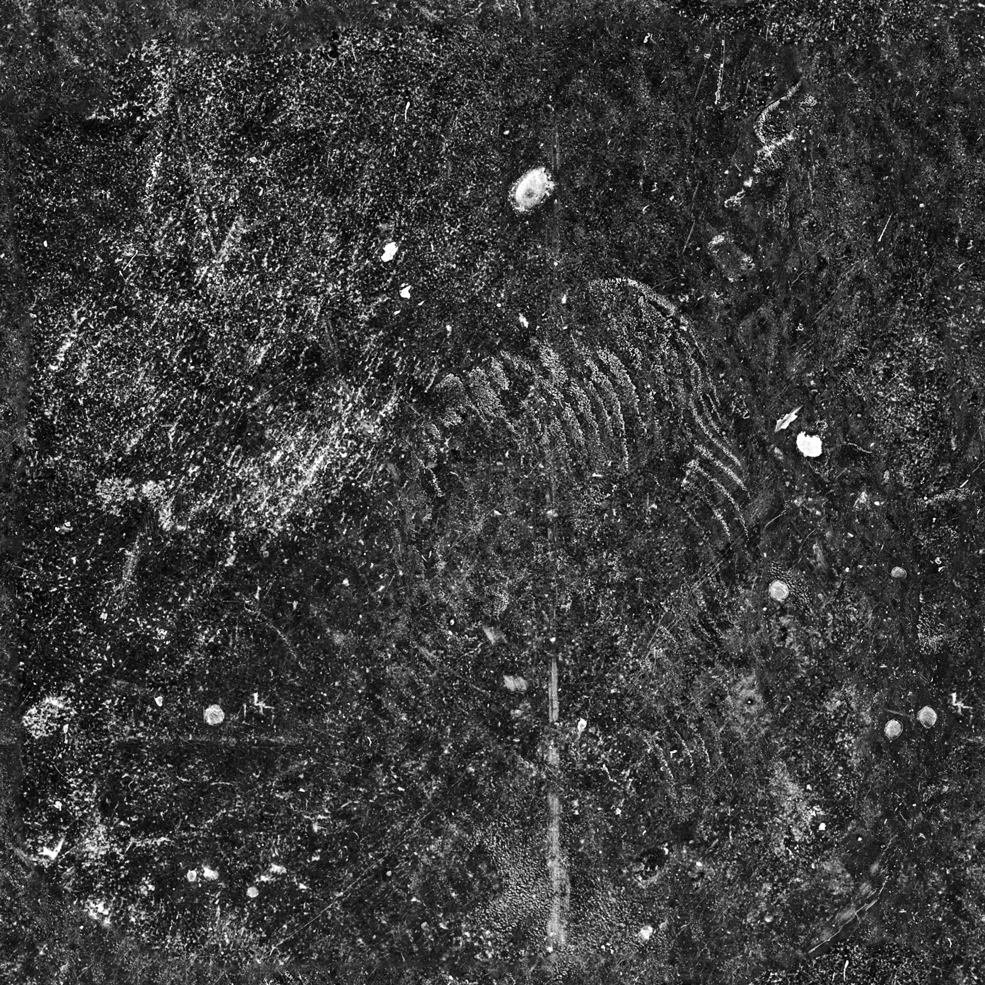 CRACKS_06_hard_tiled_8b_inv.jpg