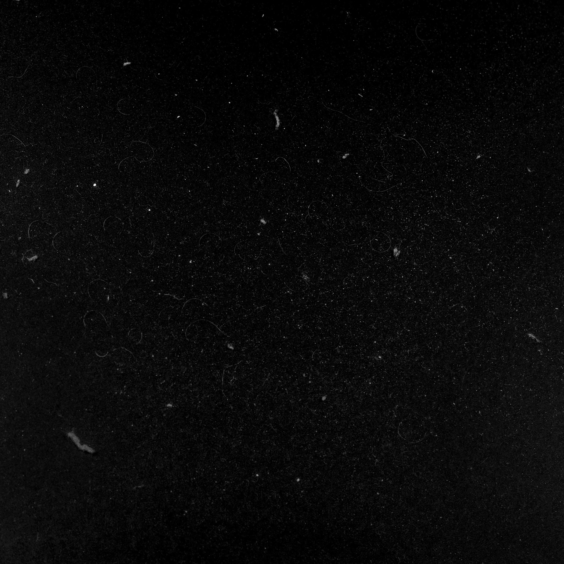 DUST_small_001.jpg