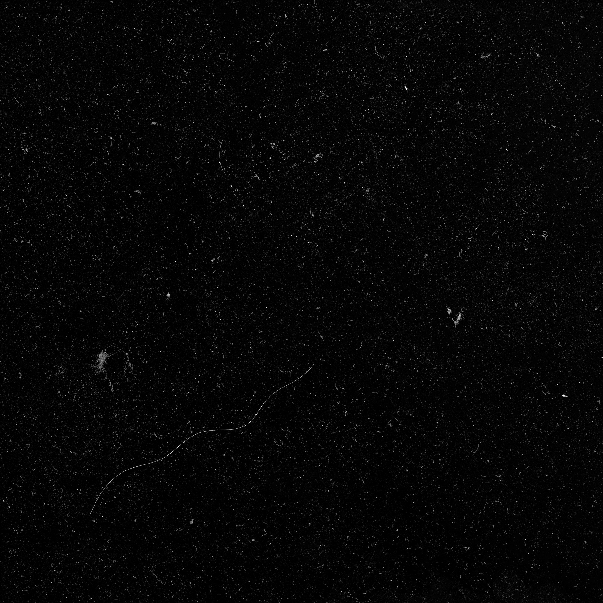 DustSmall002_OVERLAY_HIRES.jpg