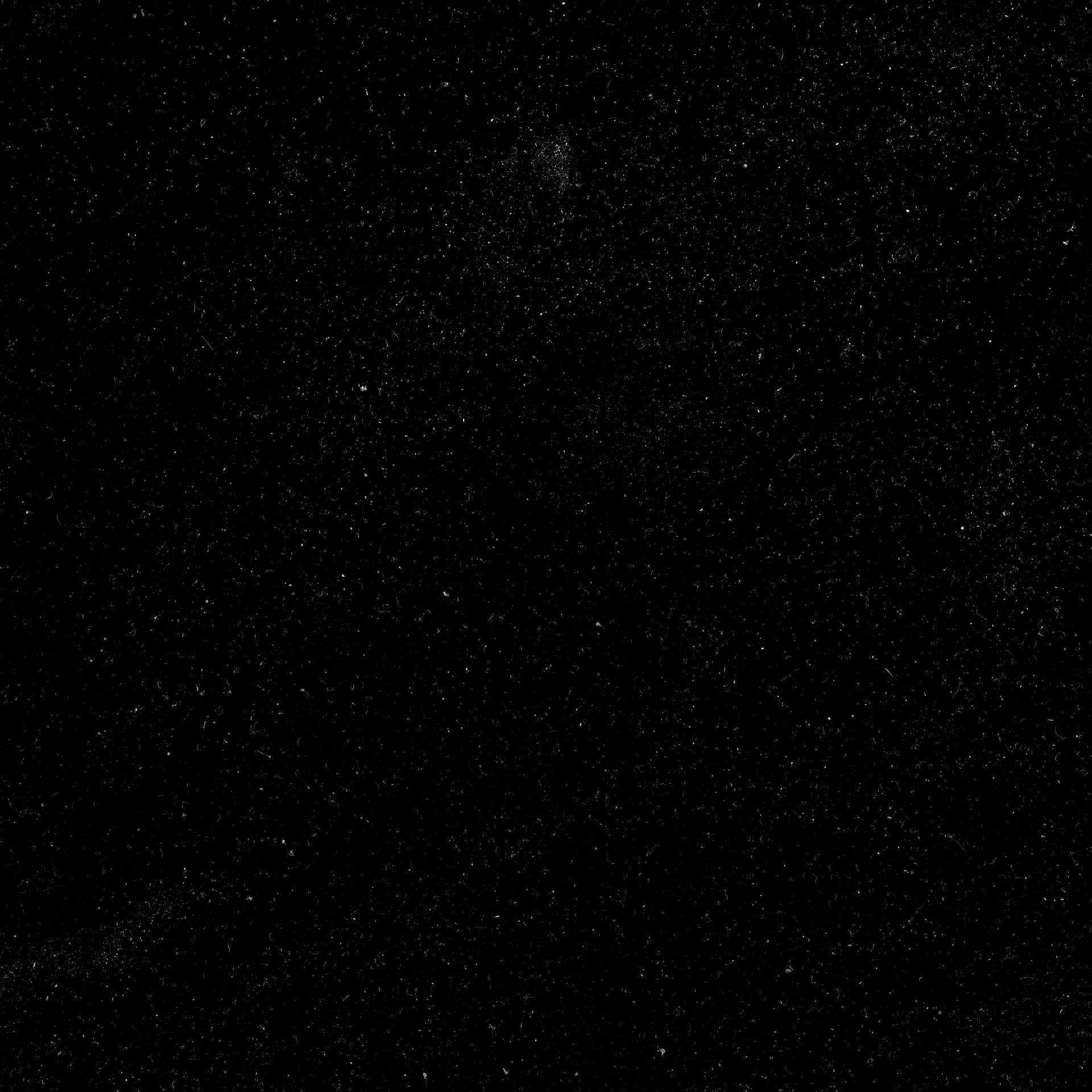 DustSmall005_OVERLAY_HIRES.jpg