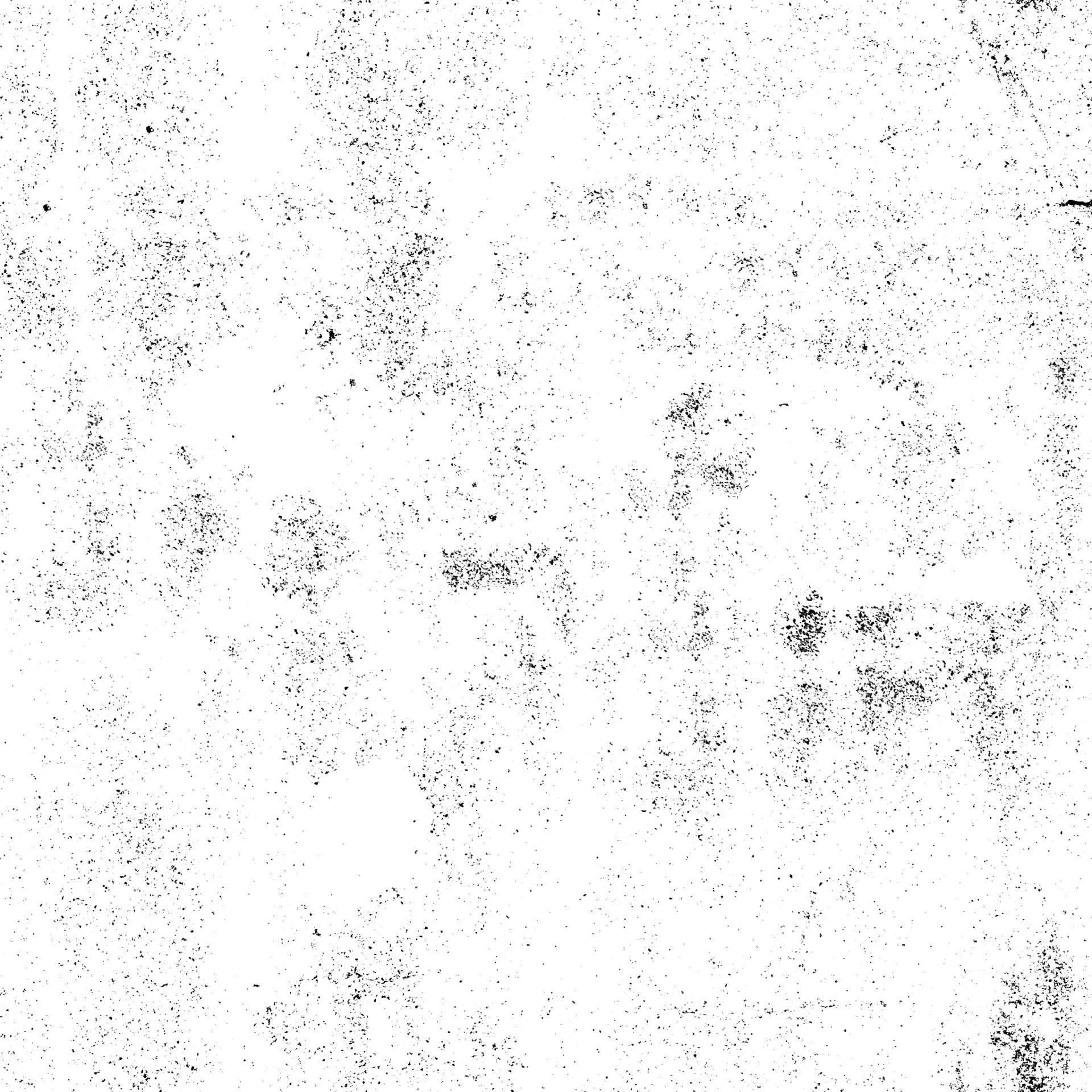 dvGSTK_012.jpg